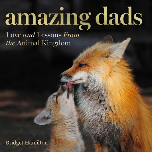 Amazing Dads - Love and Lessons From the Animal Kingdom