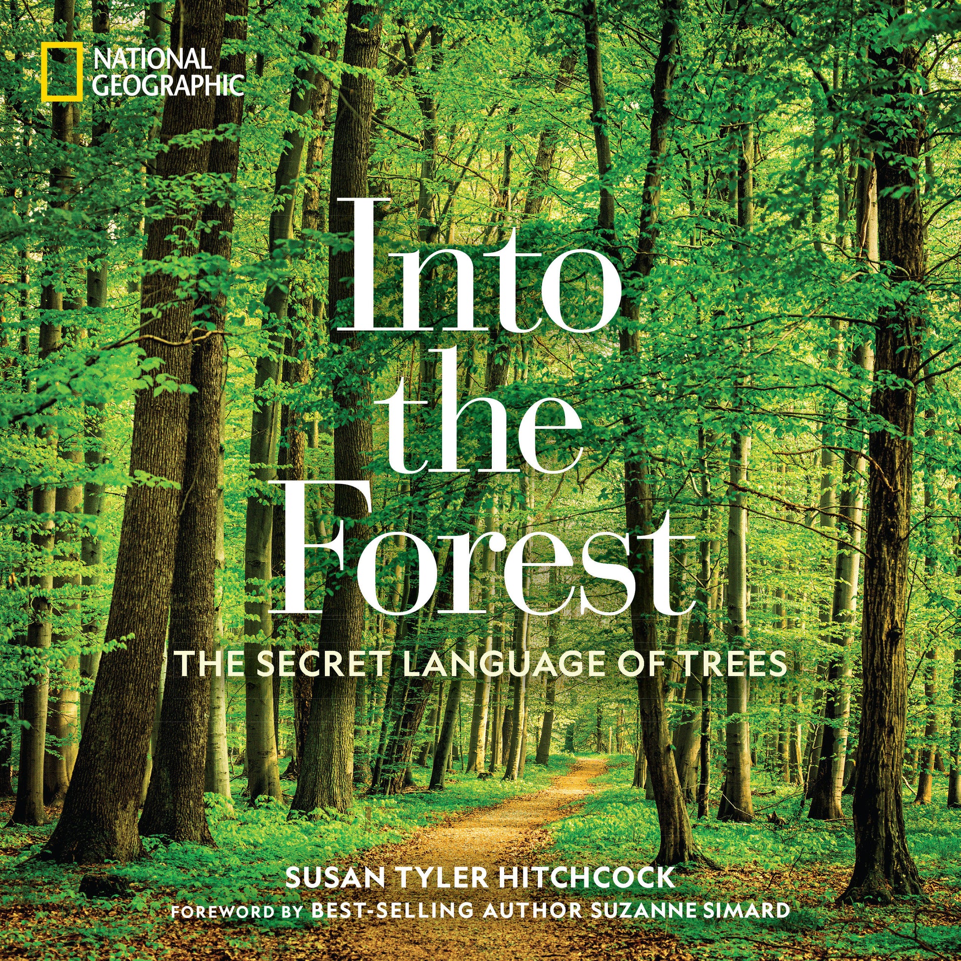 Into the Forest - The Secret Language of Trees