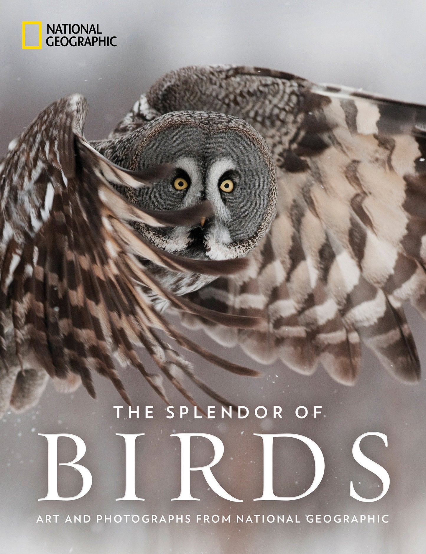 The Splendor of Birds - Art and Photographs From National Geographic