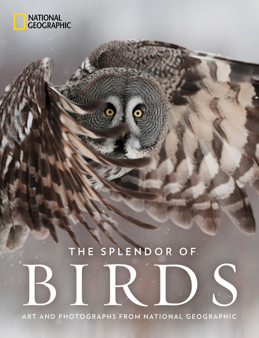 The Splendor of Birds - Art and Photographs From National Geographic