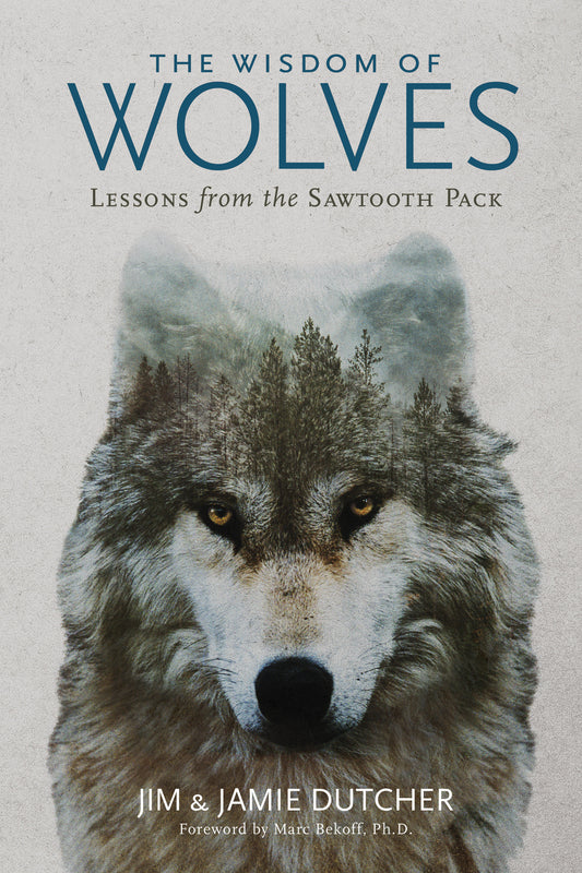The Wisdom of Wolves - Lessons From the Sawtooth Pack
