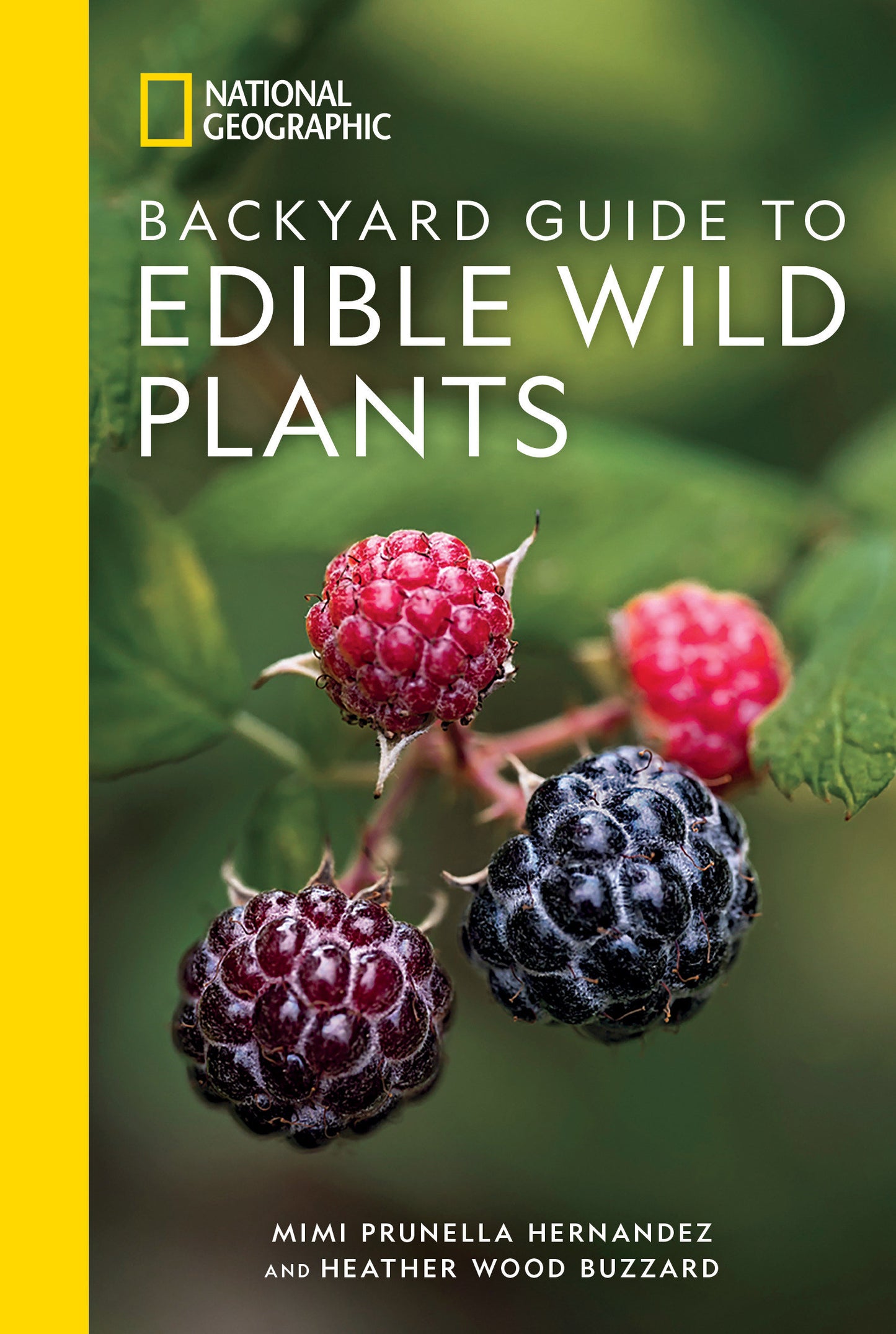 National Geographic Backyard Guide to Edible Wild Plants (National Geographic Backyard Guides)