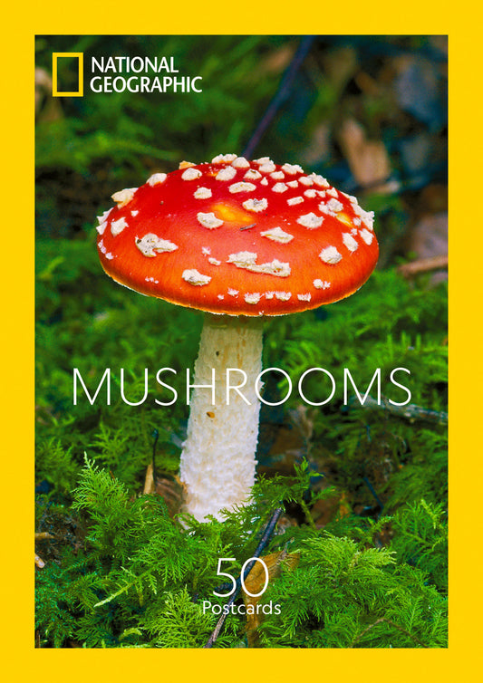 Mushrooms - 50 Postcards