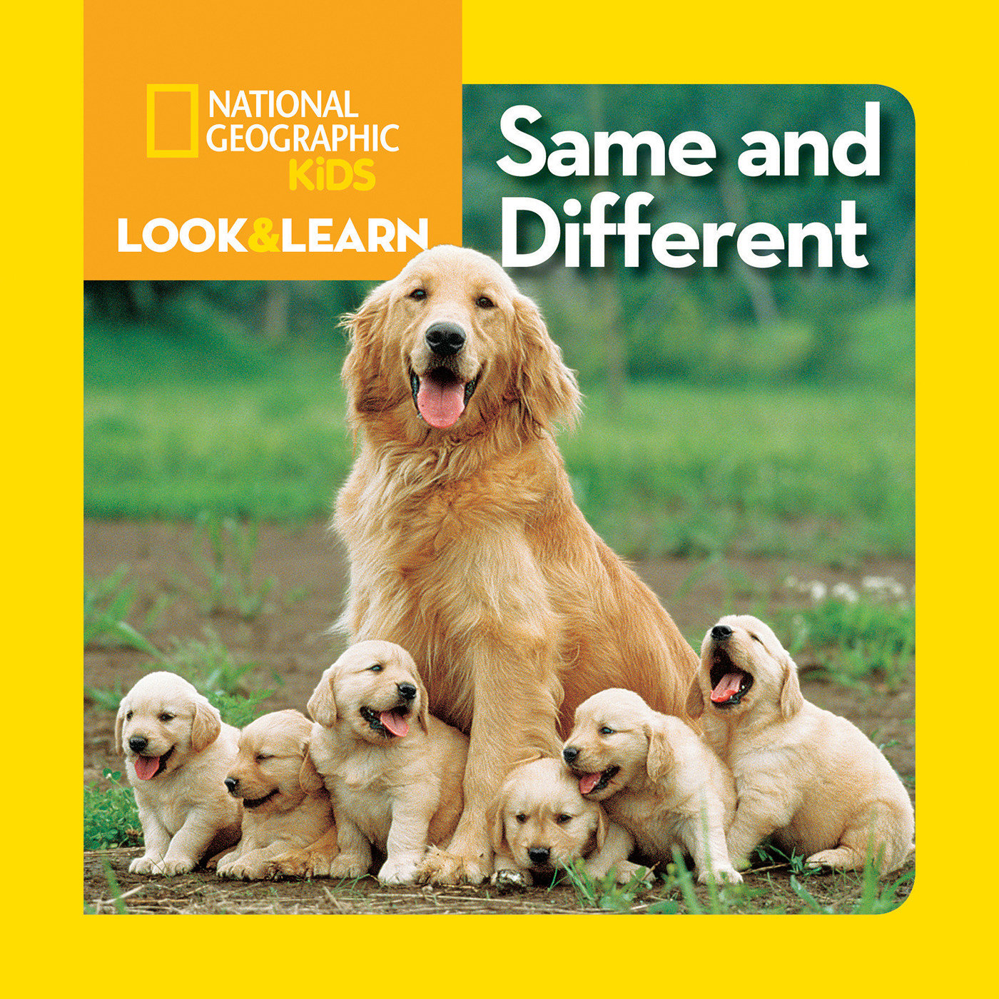 National Geographic Kids Look & Learn: Same and Different (Look & Learn)