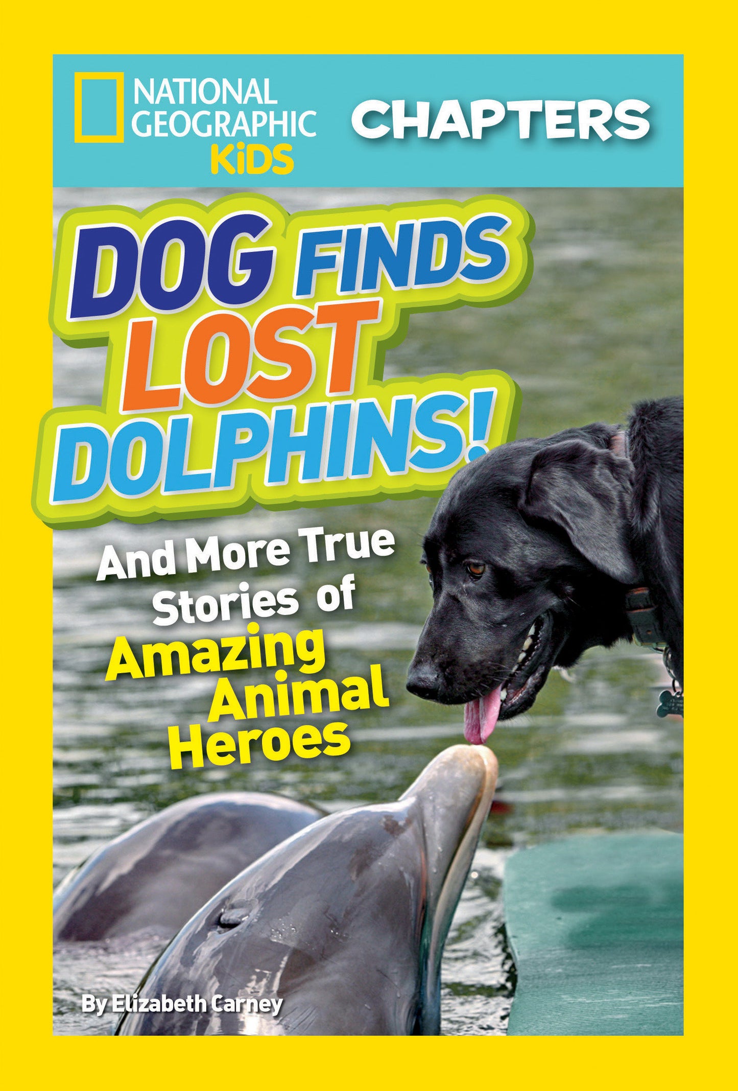National Geographic Kids Chapters: Dog Finds Lost Dolphins! - And More True Stories of Amazing Animal Heroes (NGK Chapters)