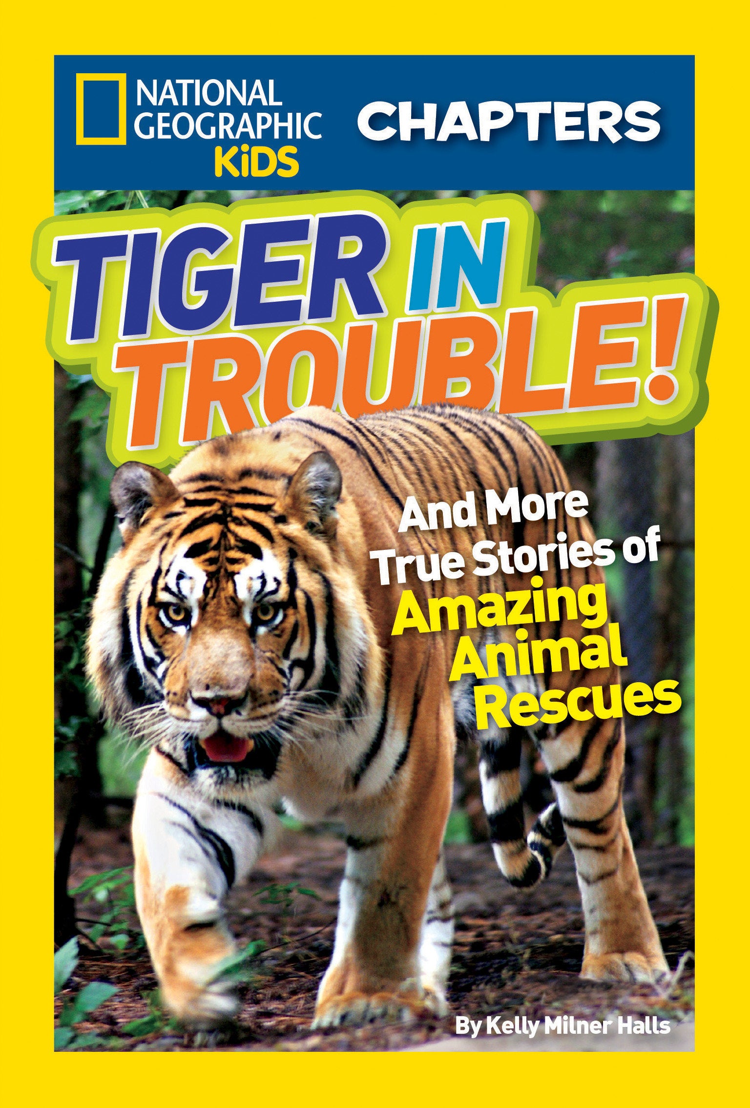 National Geographic Kids Chapters: Tiger in Trouble! - And More True Stories of Amazing Animal Rescues (NGK Chapters)