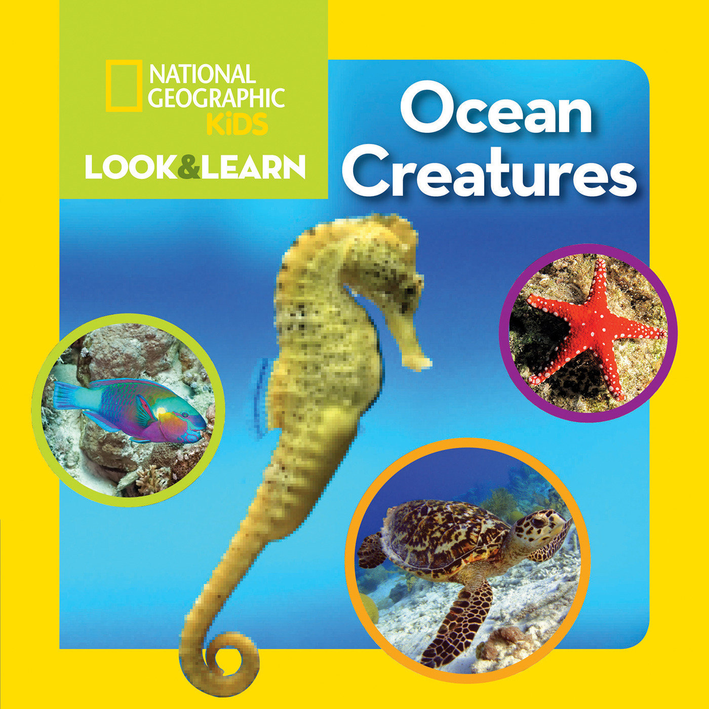 National Geographic Kids Look & Learn: Ocean Creatures (Look & Learn)