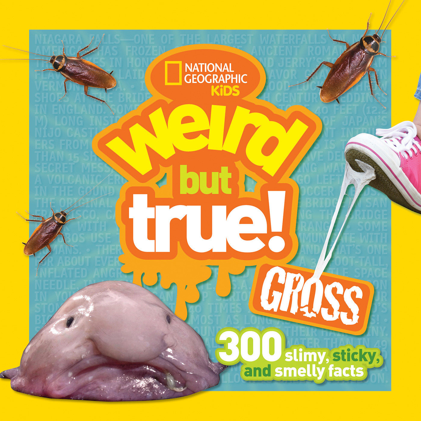 Weird But True! Gross - 300 Slimy, Sticky, and Smelly Facts (Weird But True!)