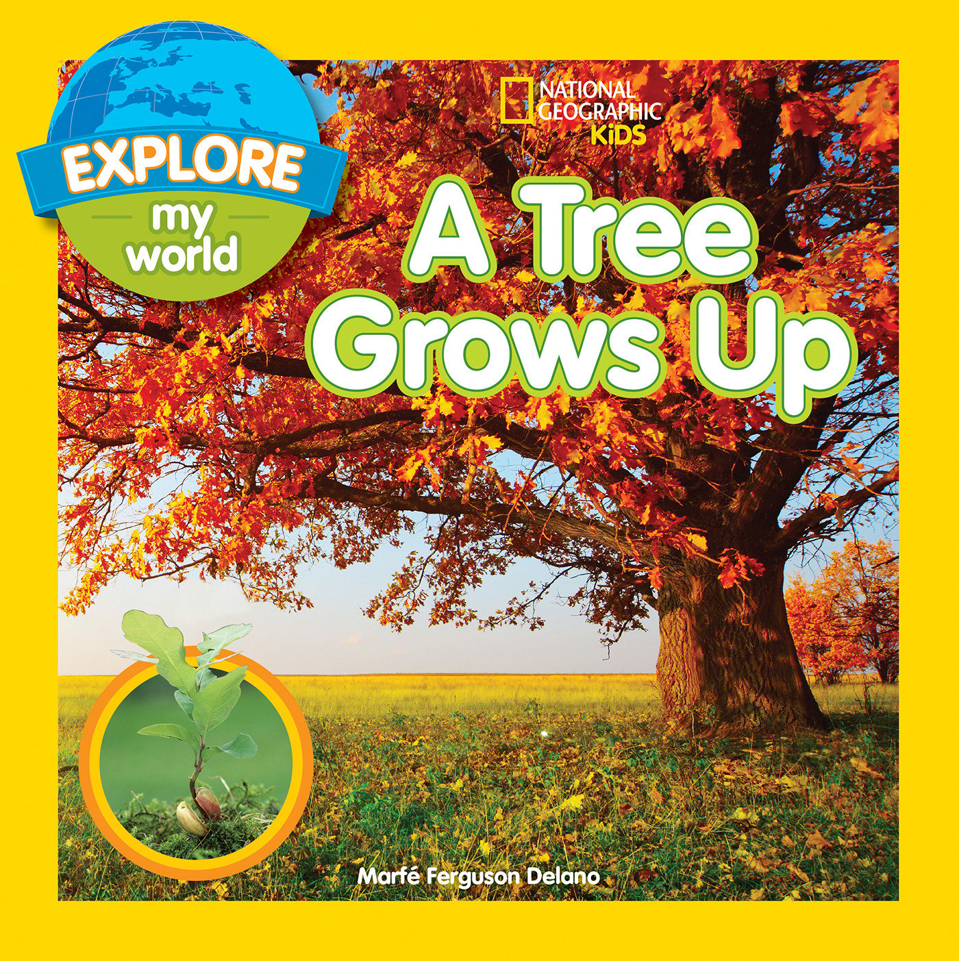 Explore My World: A Tree Grows Up (Explore My World)