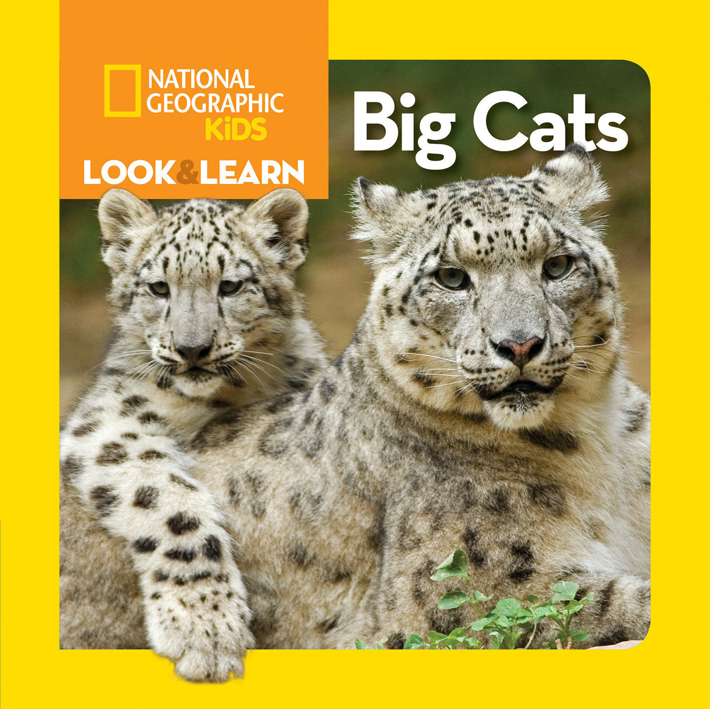 National Geographic Kids Look & Learn: Big Cats (Look & Learn)