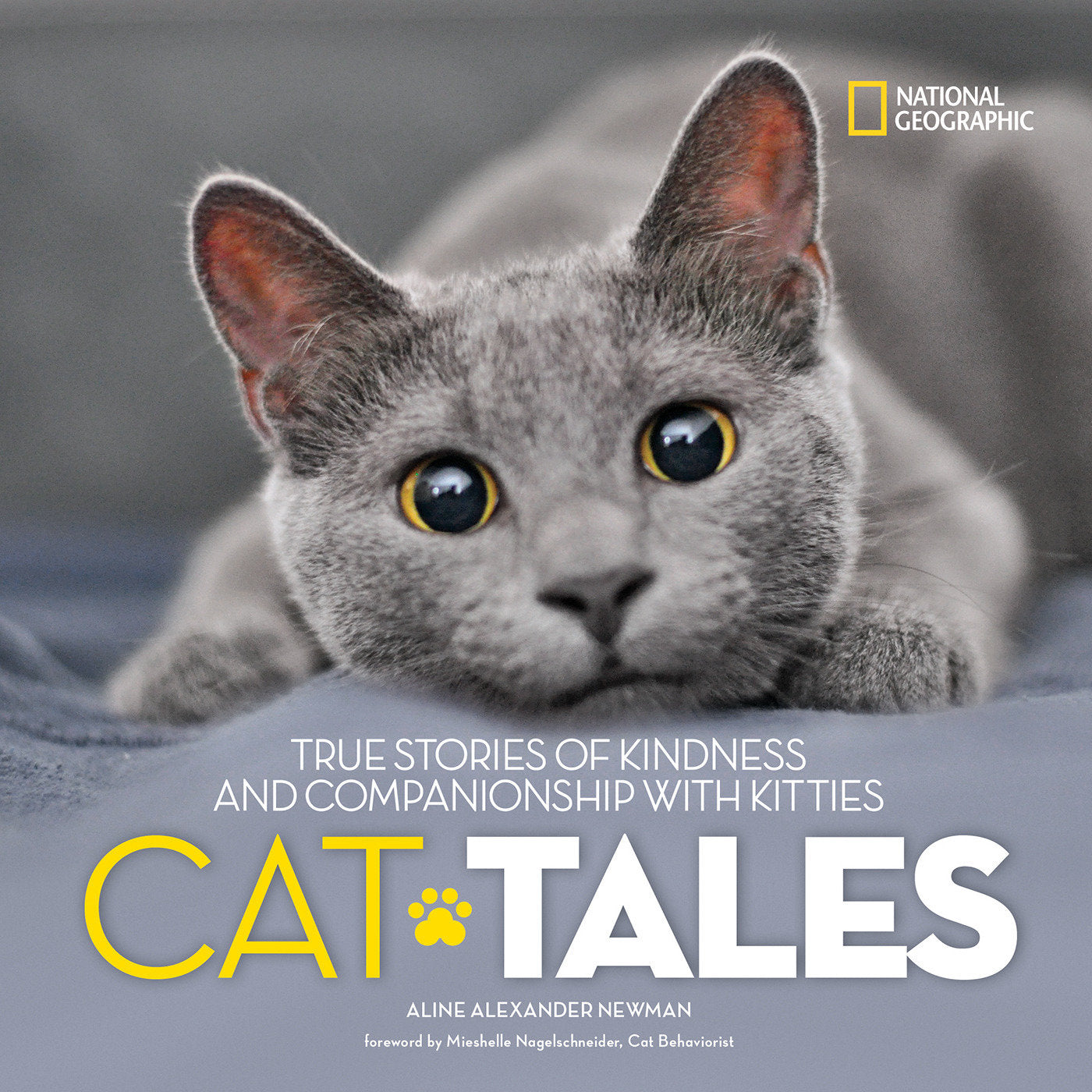 Cat Tales - True Stories of Kindness and Companionship With Kitties