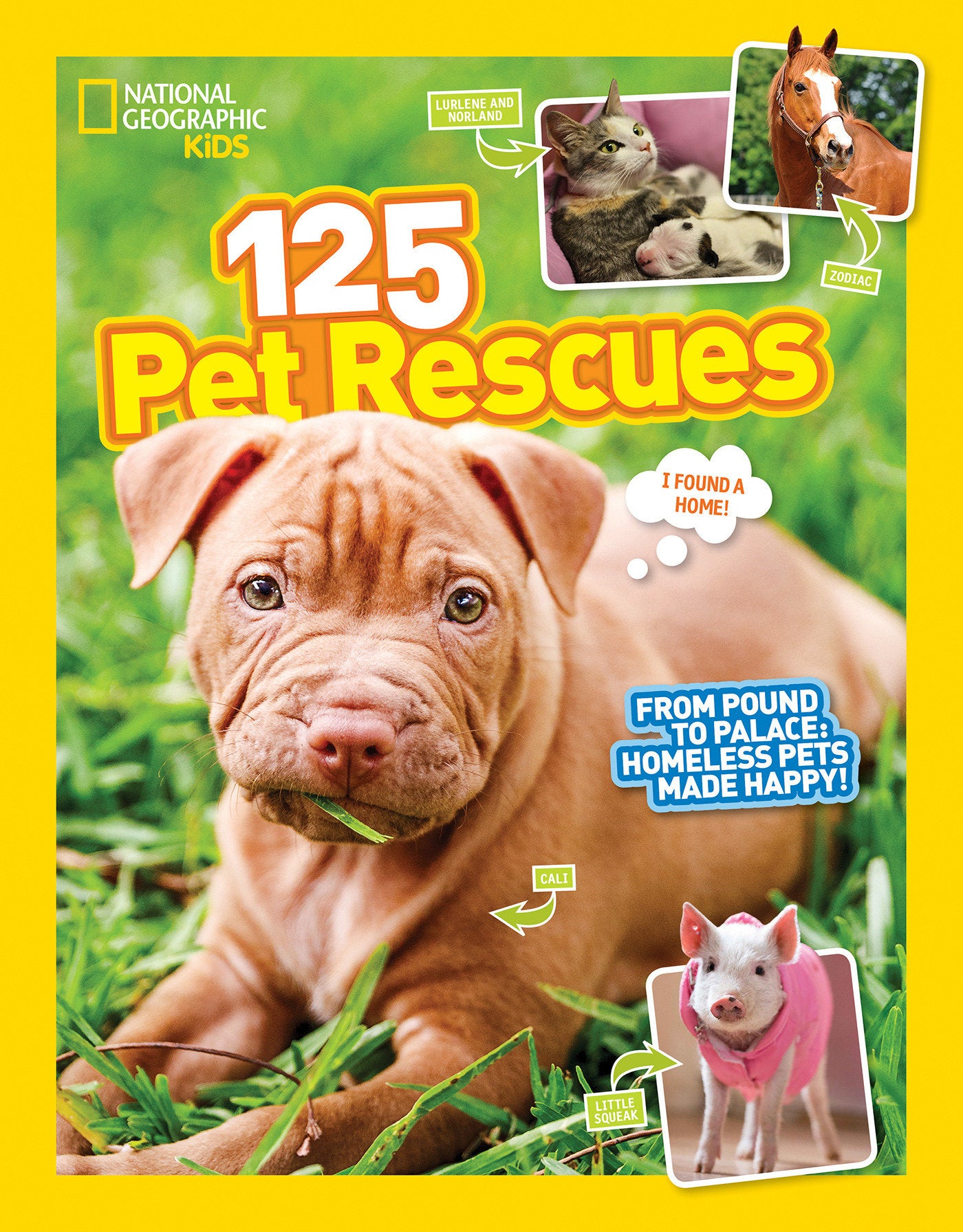 125 Pet Rescues - From Pound to Palace: Homeless Pets Made Happy (National Geographic Kids 125)