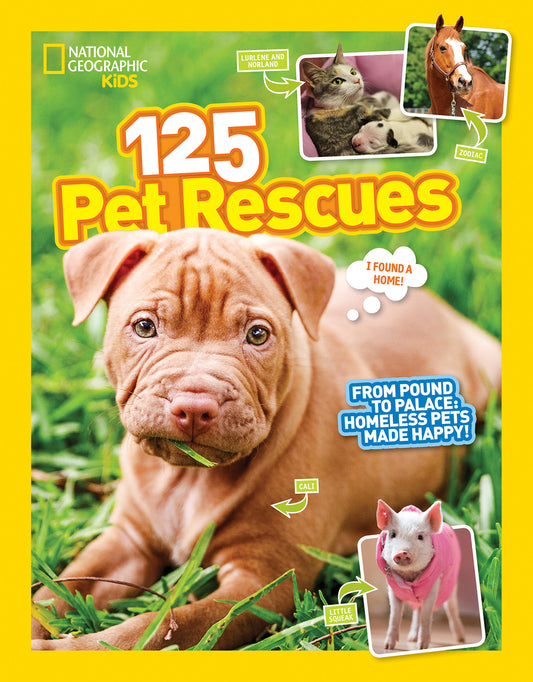 125 Pet Rescues - From Pound to Palace: Homeless Pets Made Happy (National Geographic Kids 125)
