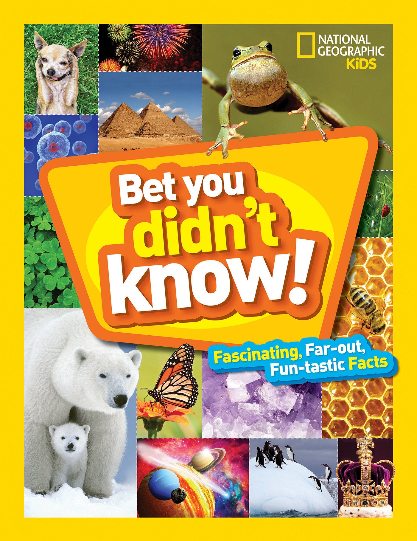 Bet You Didn't Know - Fascinating, Far-out, Fun-tastic Facts! (Bet You Didn't Know)