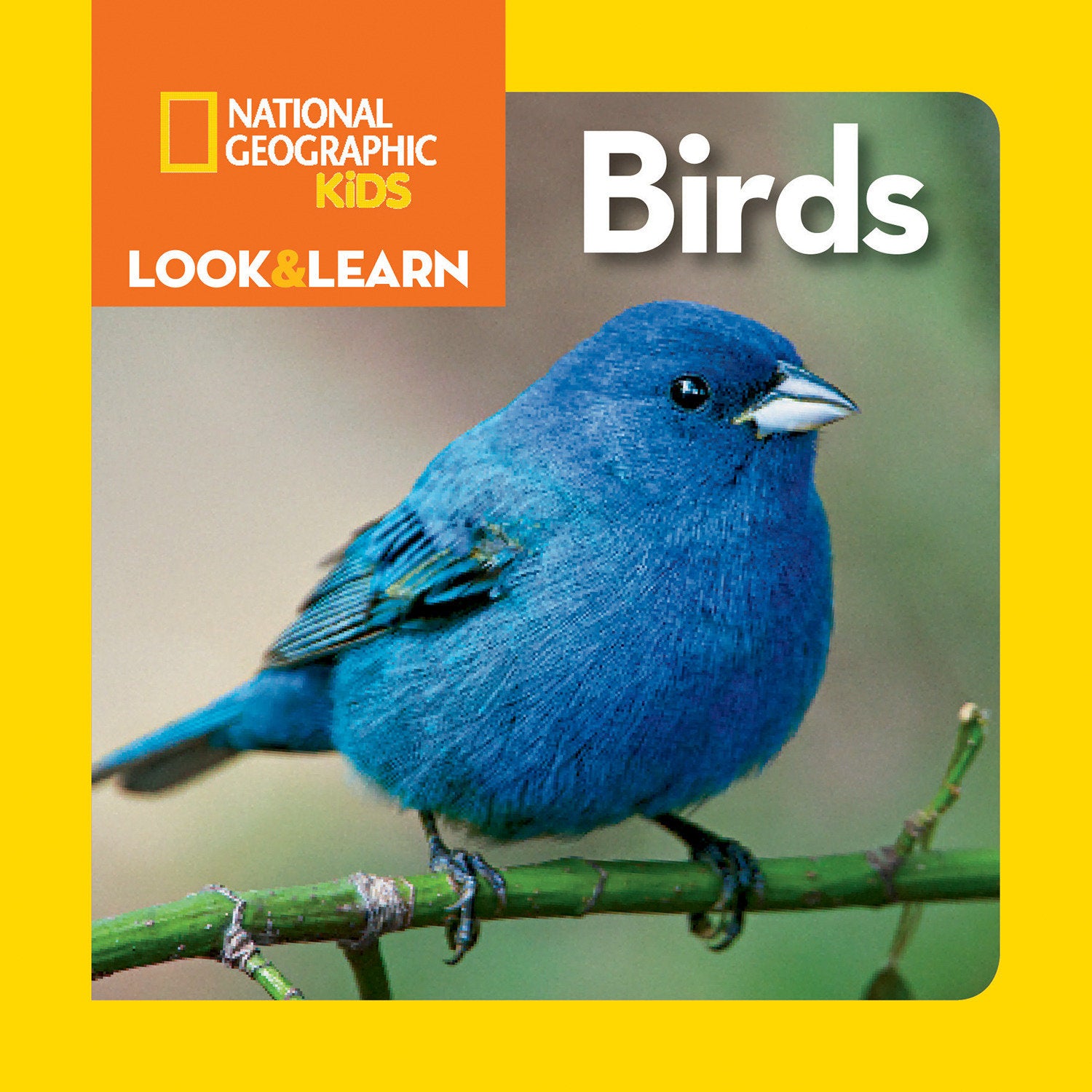 National Geographic Kids Look & Learn: Birds (Look & Learn)