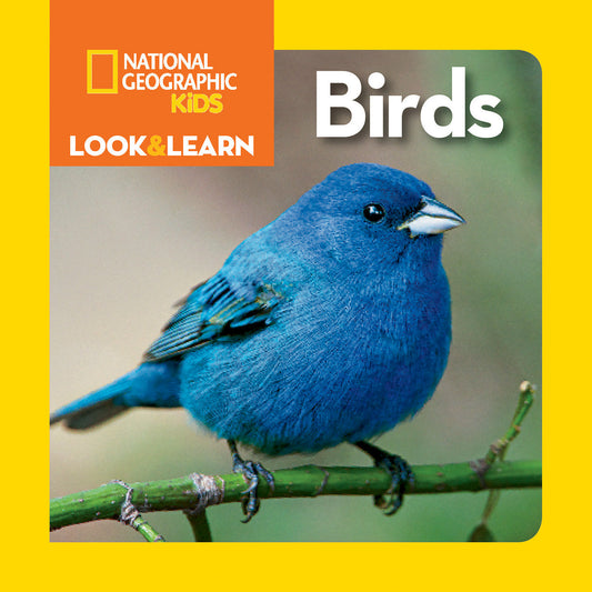National Geographic Kids Look & Learn: Birds (Look & Learn)