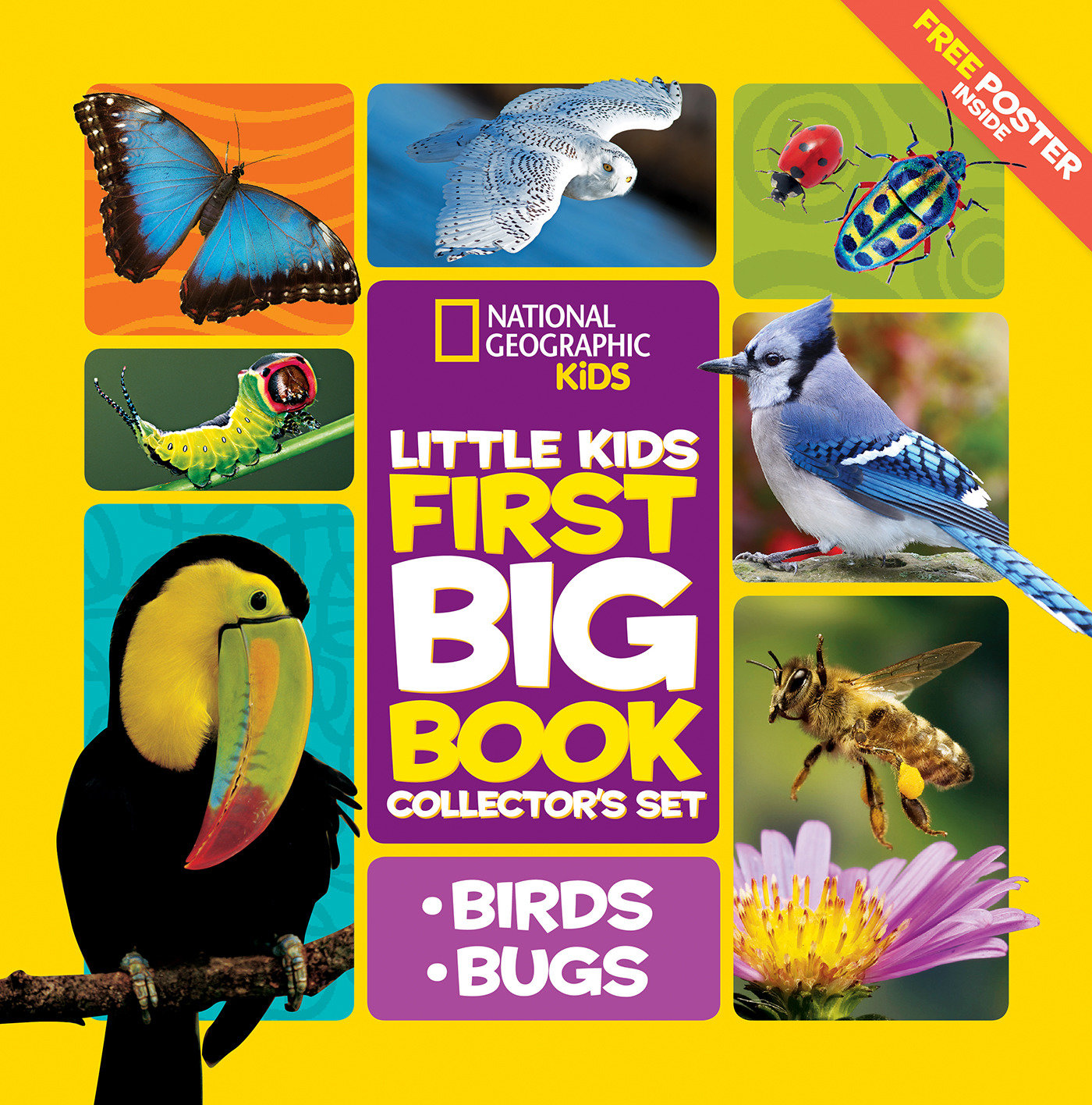 National Geographic Little Kids First Big Book Collector's Set: Birds and Bugs (National Geographic Little Kids First Big Books)