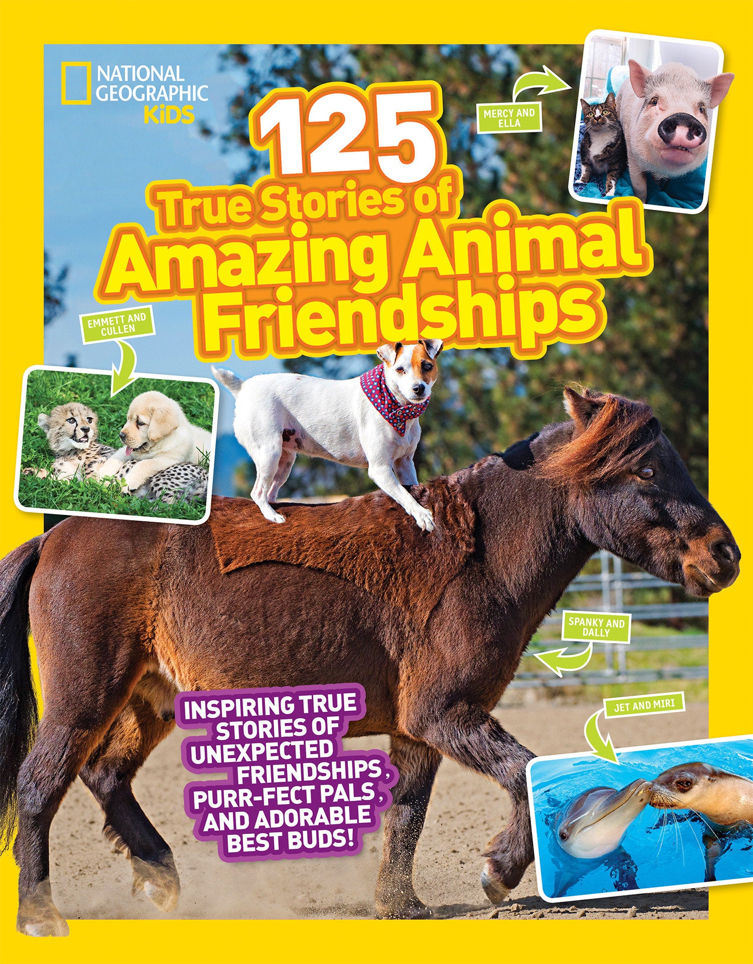 National Geographic Kids 125 True Stories of Amazing Animal Friendships (National Geographic Kids 125)