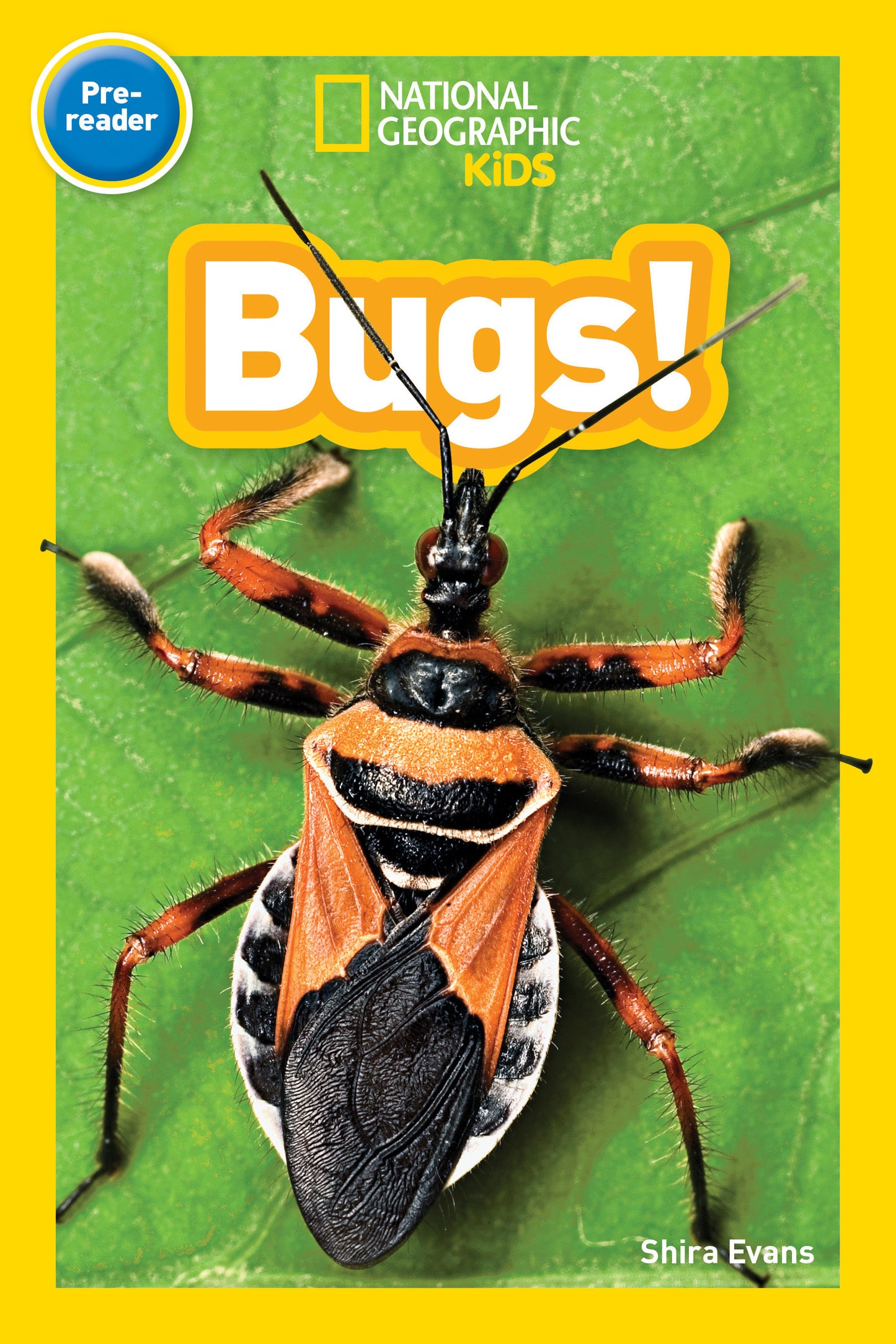Bugs! (National Geographic Kids Readers, Pre-Reader) (National Geographic Kids Readers)