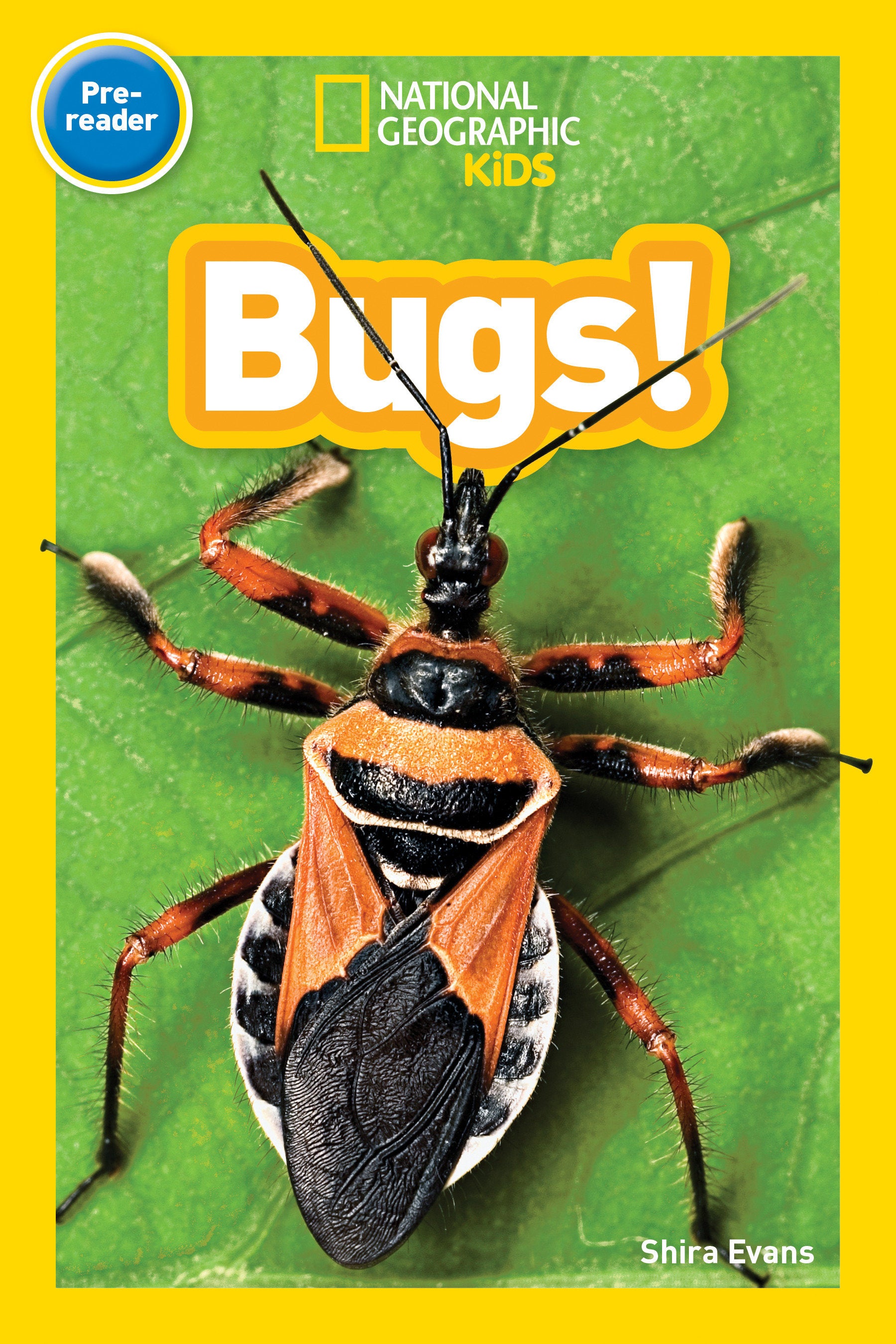 Bugs! (National Geographic Kids Readers, Pre-Reader) (National Geographic Kids Readers)