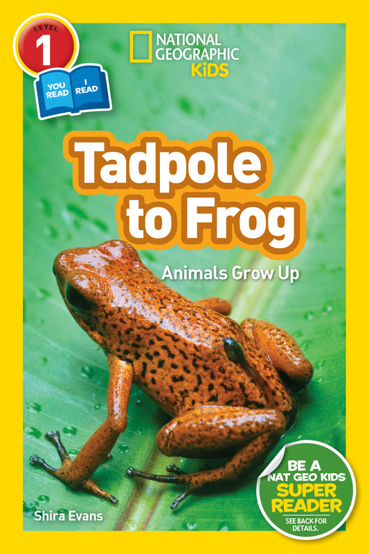 Tadpole to Frog (National Geographic Kids Readers, Level 1/Co-Reader) - Animals Grow Up (National Geographic Kids Readers)