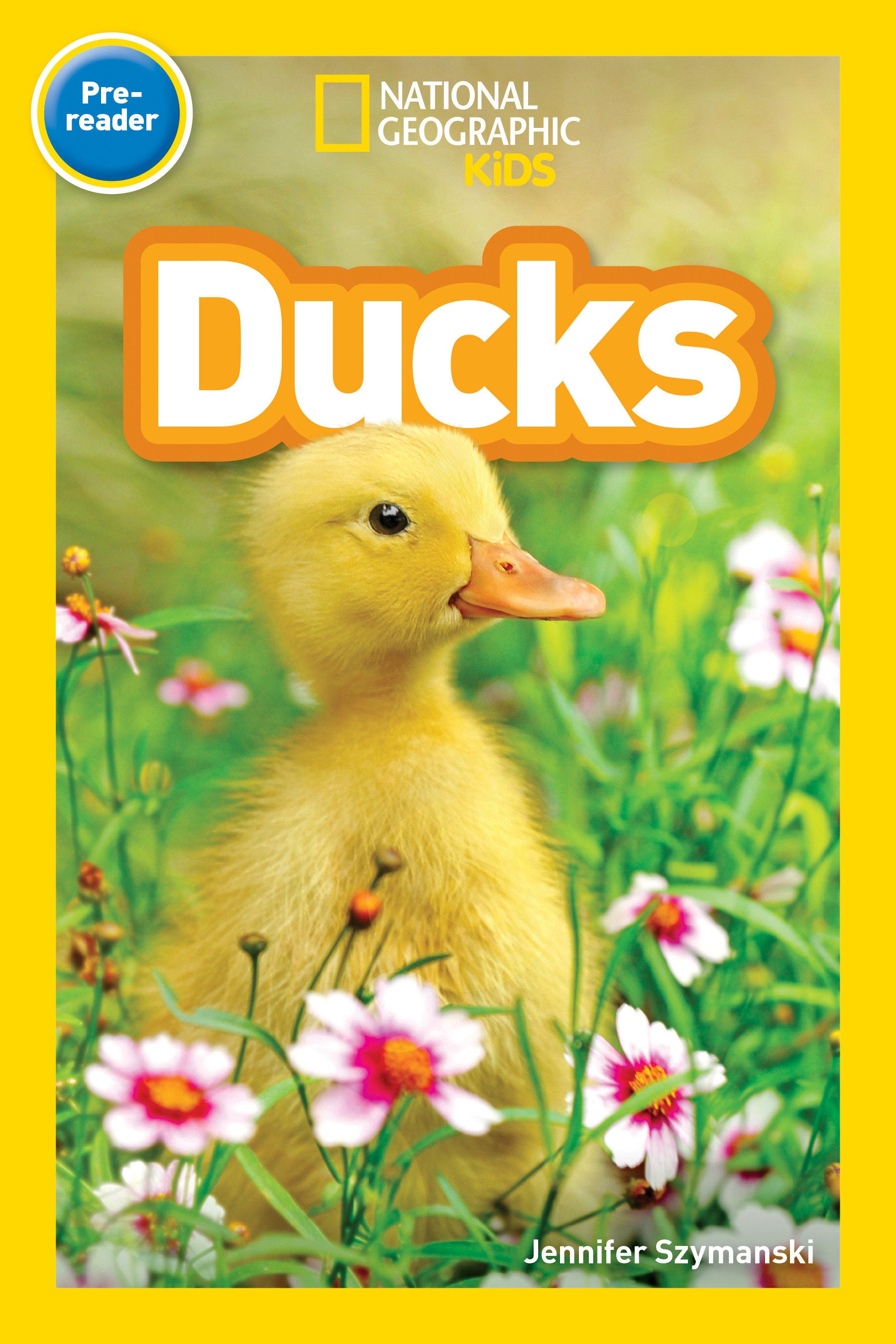 Ducks (National Geographic Kids Readers, Pre-Reader) (National Geographic Kids Readers)