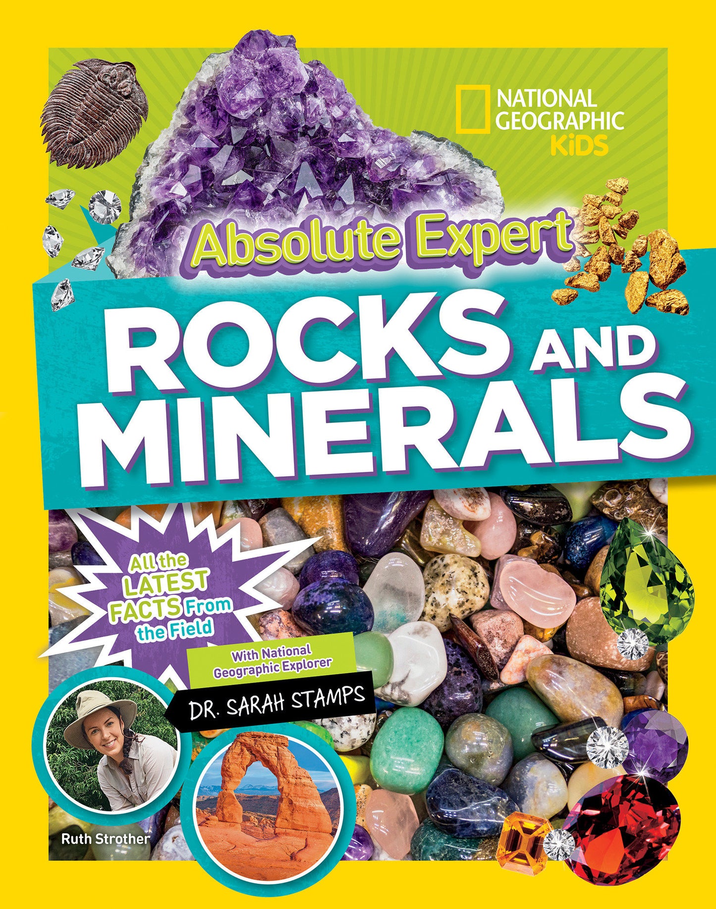 Absolute Expert: Rocks & Minerals - All the Latest Facts from the Field (Absolute Expert)
