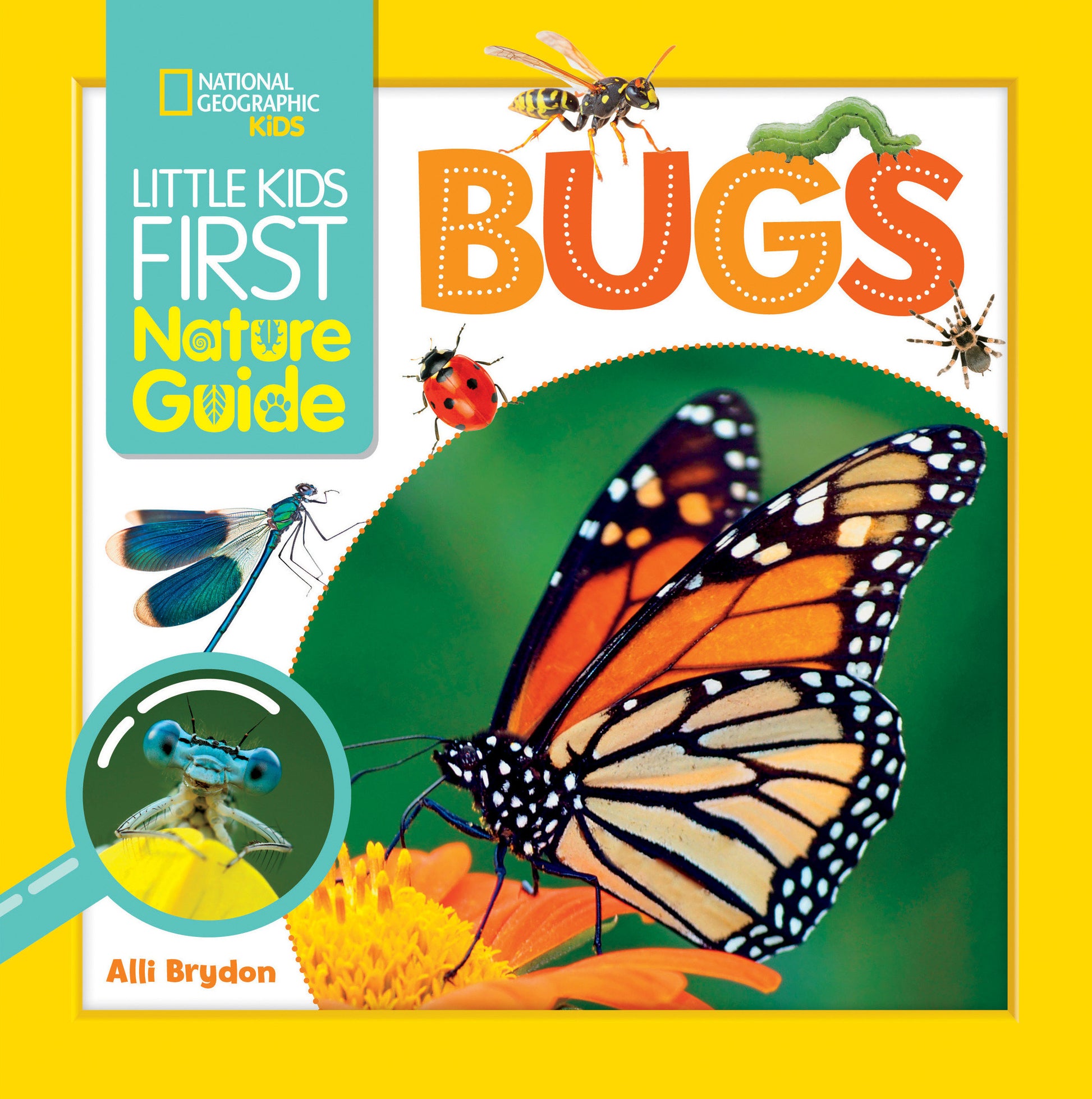 Little Kids First Nature Guide Bugs (Little Kids First Nature Guide)