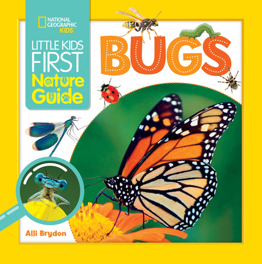 Little Kids First Nature Guide Bugs (Little Kids First Nature Guide)