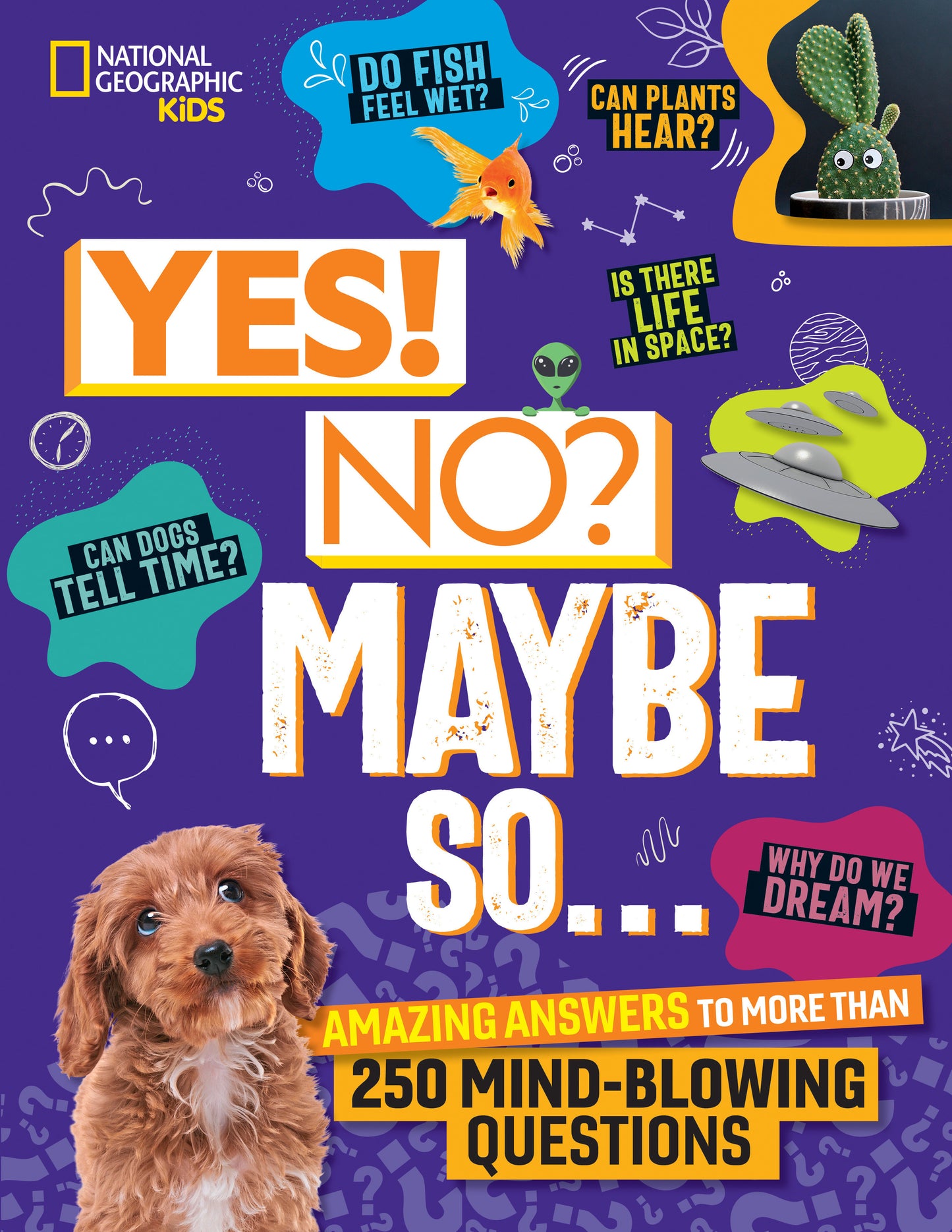 Yes! No? Maybe So... - Amazing Answers to More Than 250 Mind-Blowing Questions