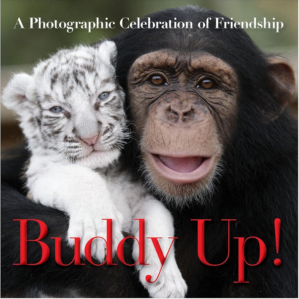Buddy Up! by Timmy the Turtle, Mr. Cinnabun