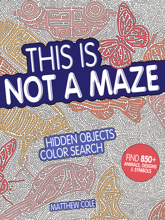 This Is Not a Maze - Hidden Objects Color Search