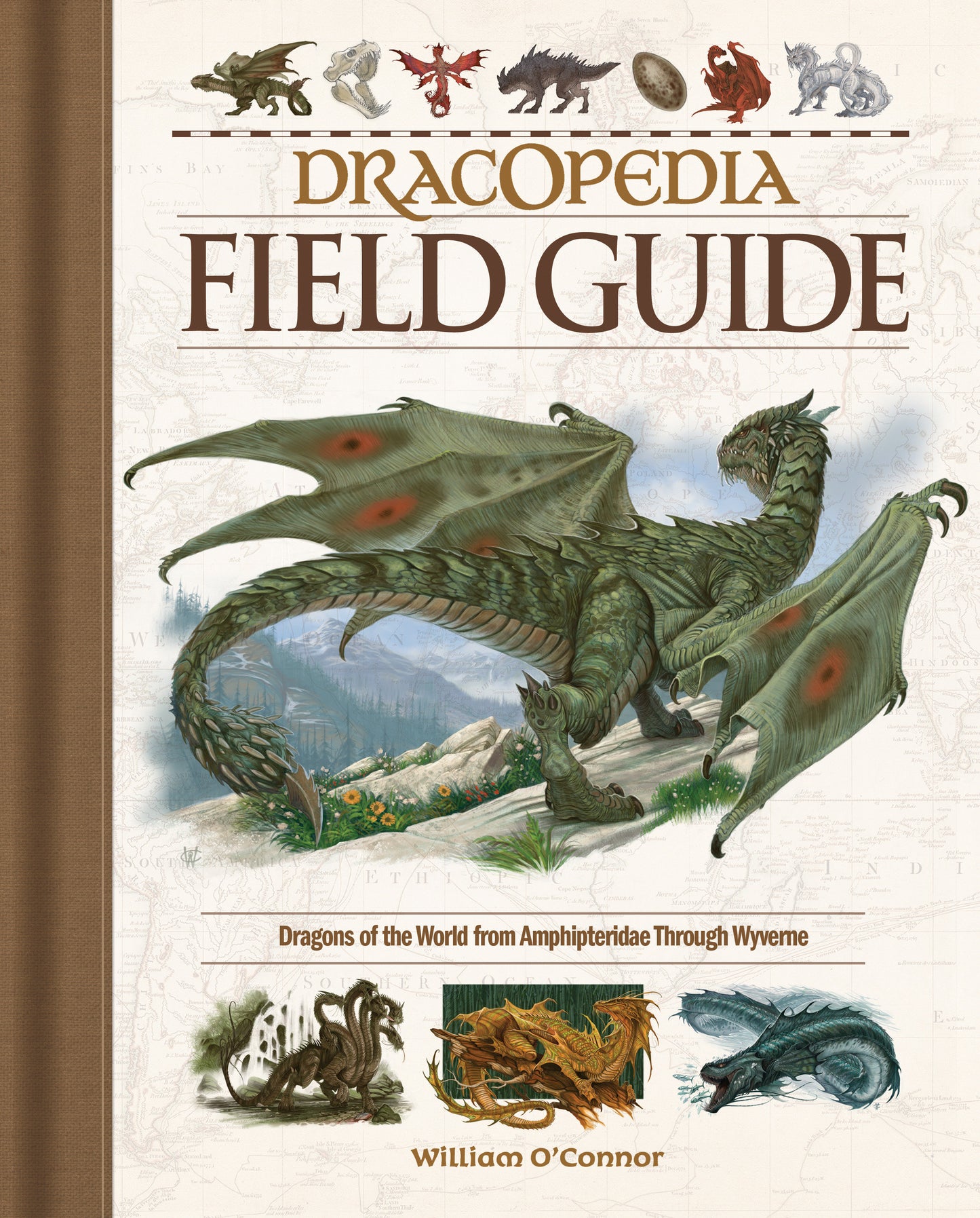 Dracopedia Field Guide - Dragons of the World from Amphipteridae through Wyvernae