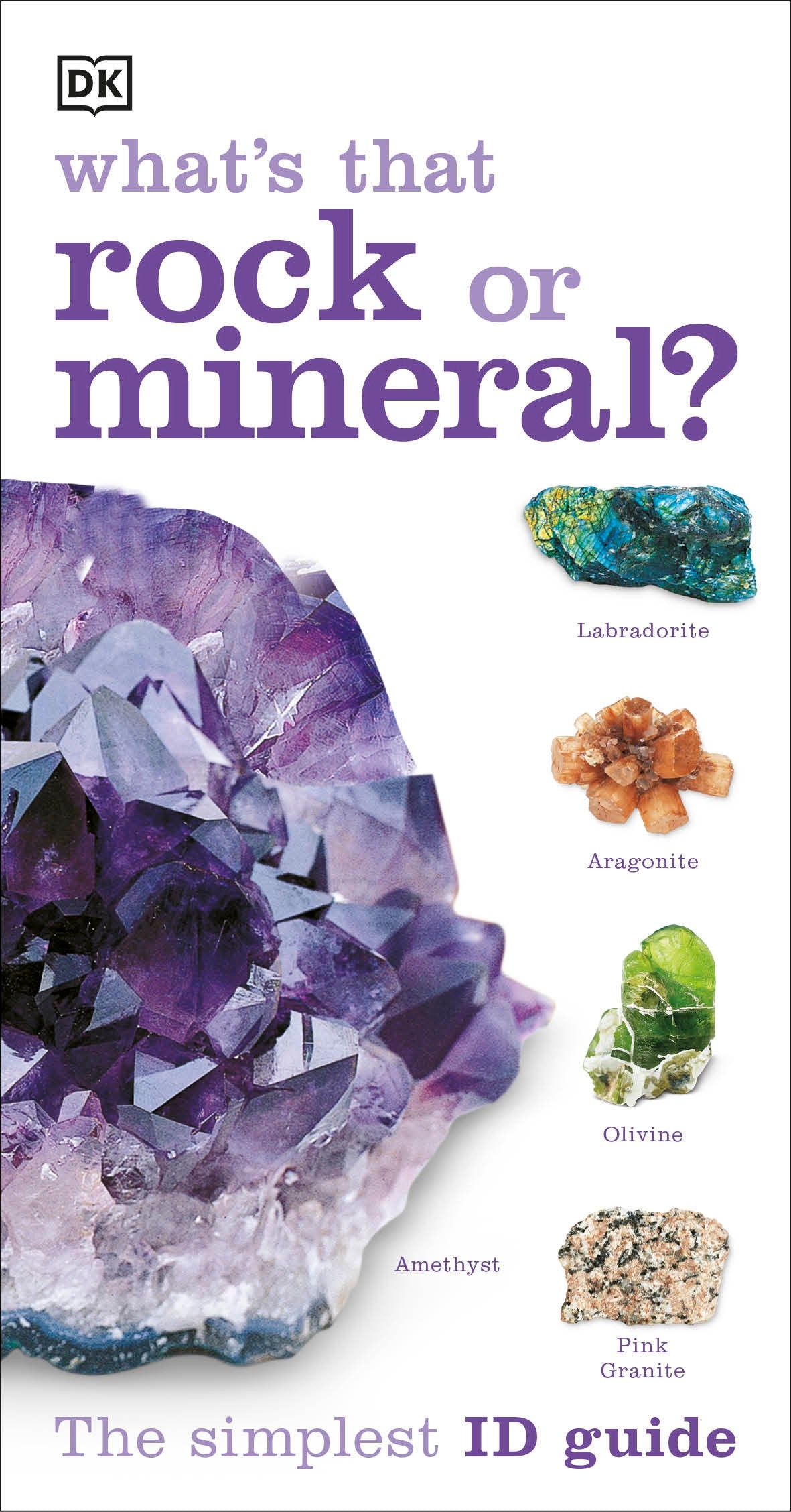 Whats that Rock or Mineral - A Beginner's Guide (DK What's That?)