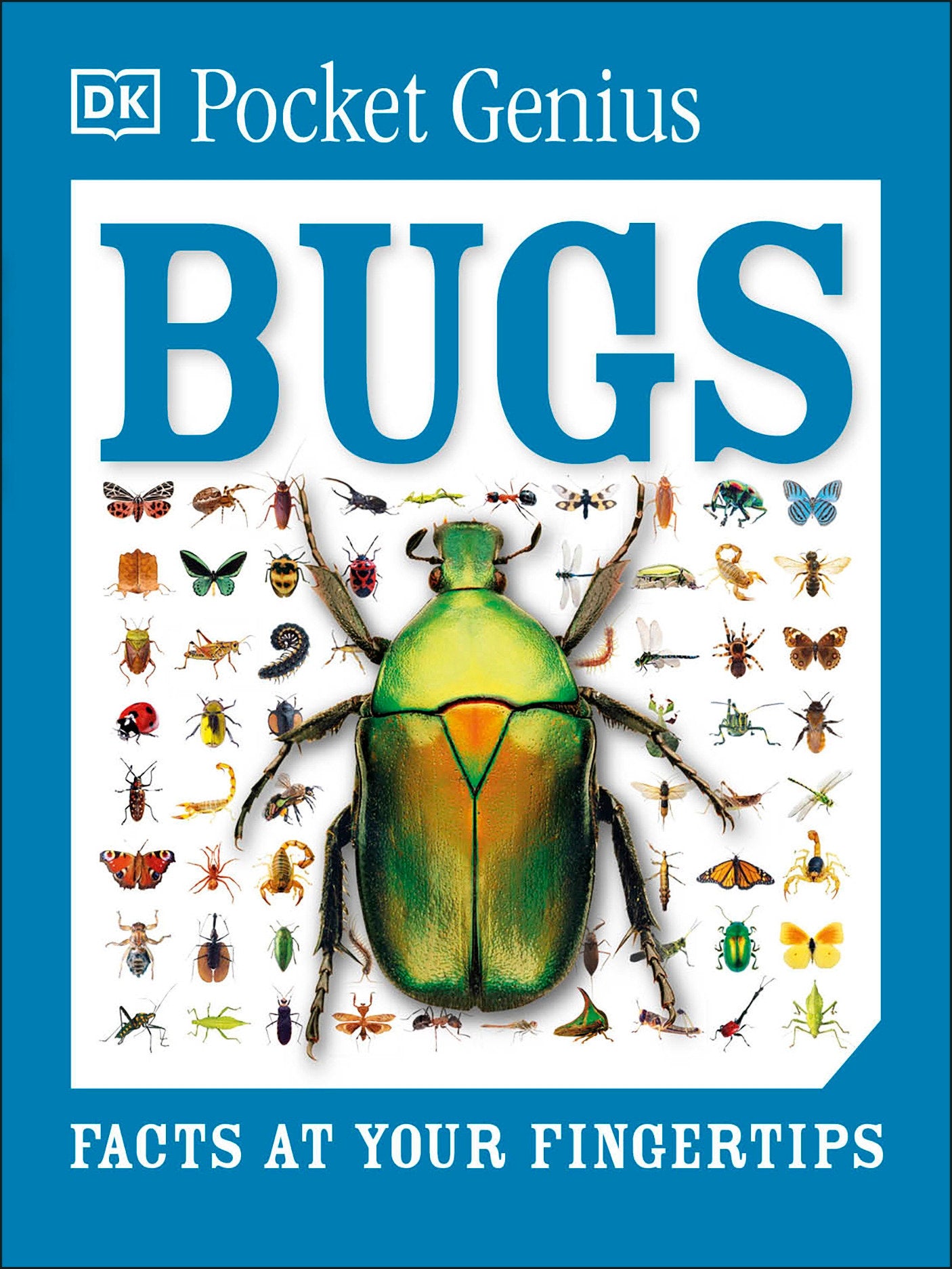 Pocket Genius Bugs - Facts at Your Fingertips (Pocket Genius) (Book:4)