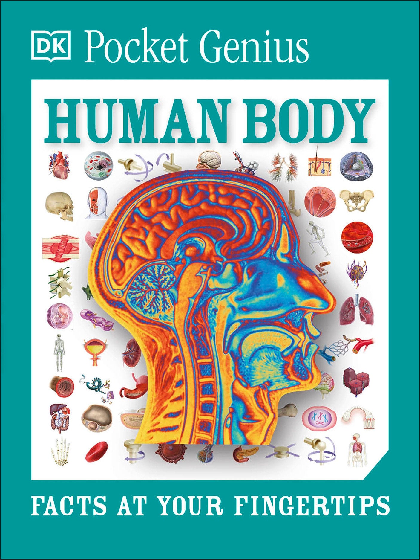 Pocket Genius Human Body - Facts at Your Fingertips (Pocket Genius) (Book:10)