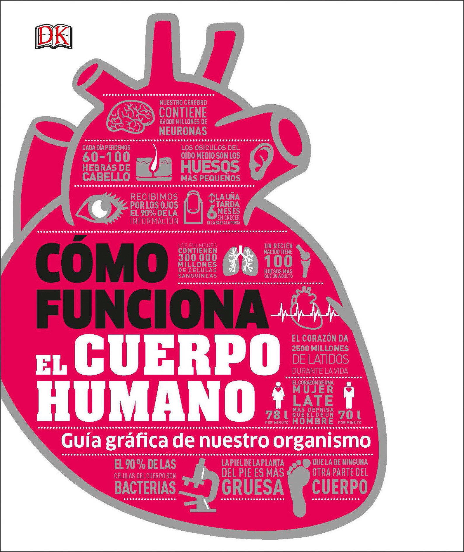 Como funciona el cuerpo humano (How the Body Works), How the Body Works - Guia grafica de nuestro organismo (DK How Stuff Works)