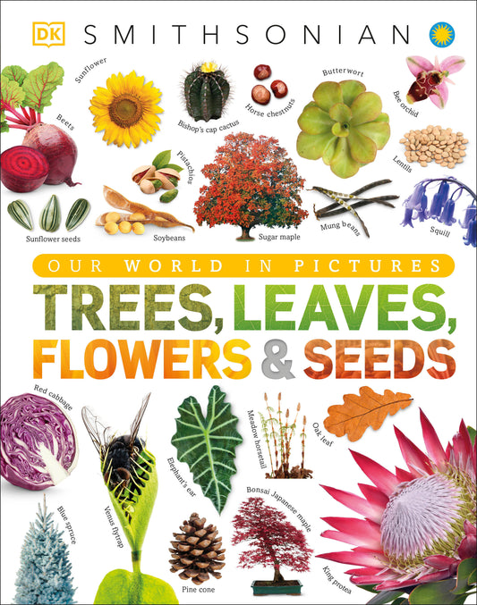 Trees, Leaves, Flowers and Seeds - A Visual Encyclopedia of the Plant Kingdom (DK Our World in Pictures)