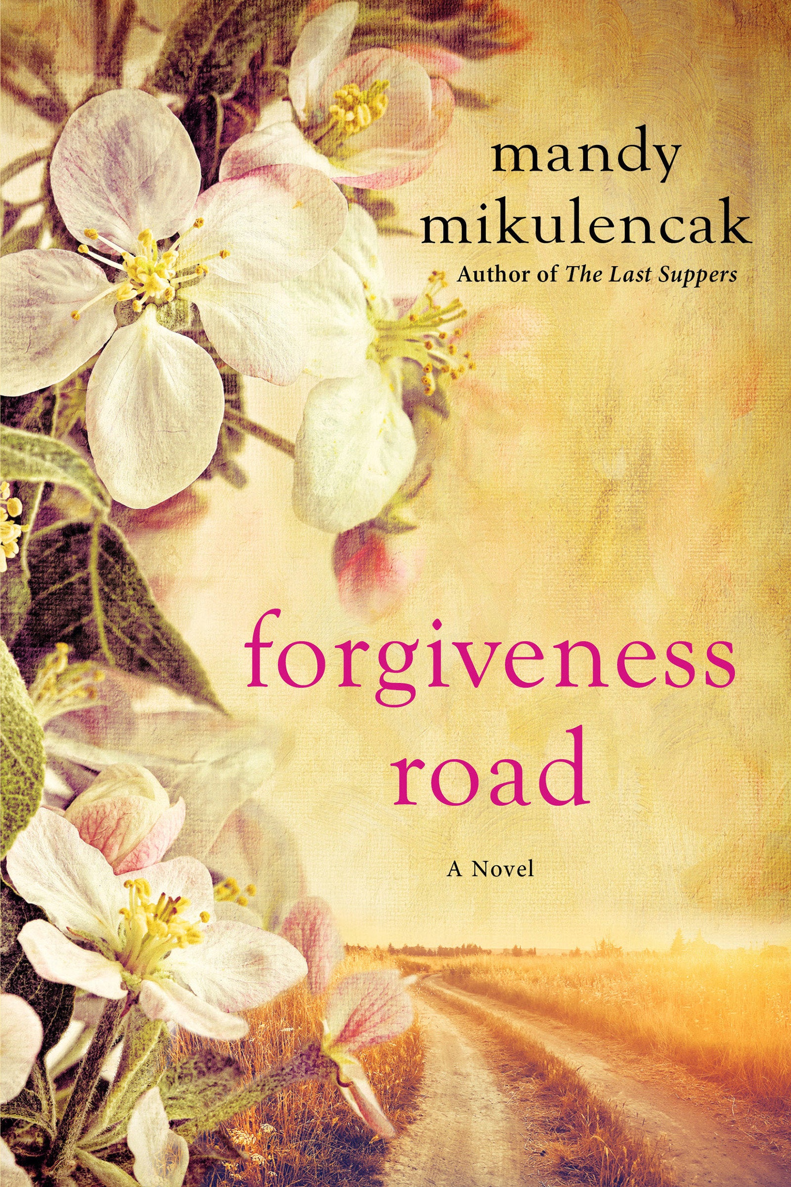 Forgiveness Road - A Powerful Novel of Compelling Historical Fiction