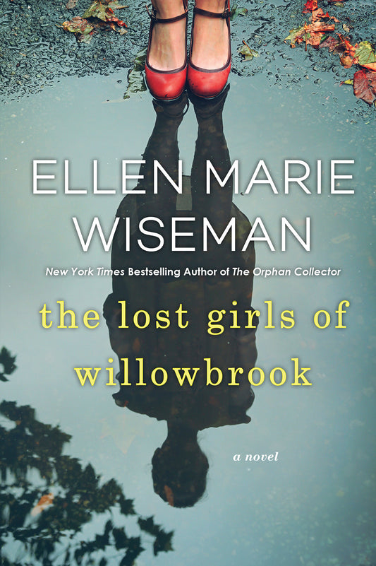 The Lost Girls of Willowbrook - A Heartbreaking Novel of Survival Based on True History