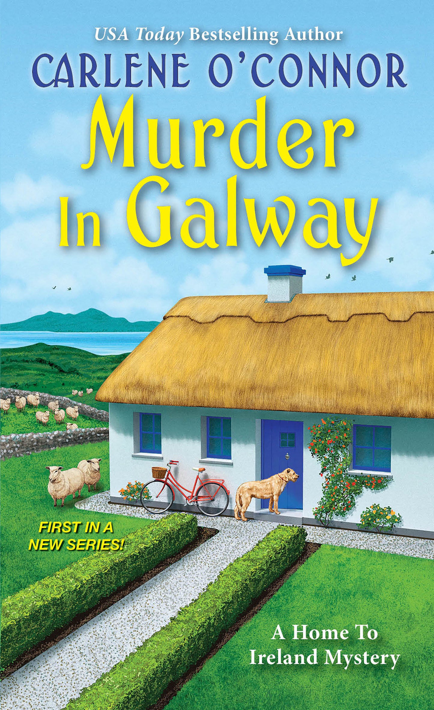 Murder in Galway (A Home to Ireland Mystery) (Book:1)