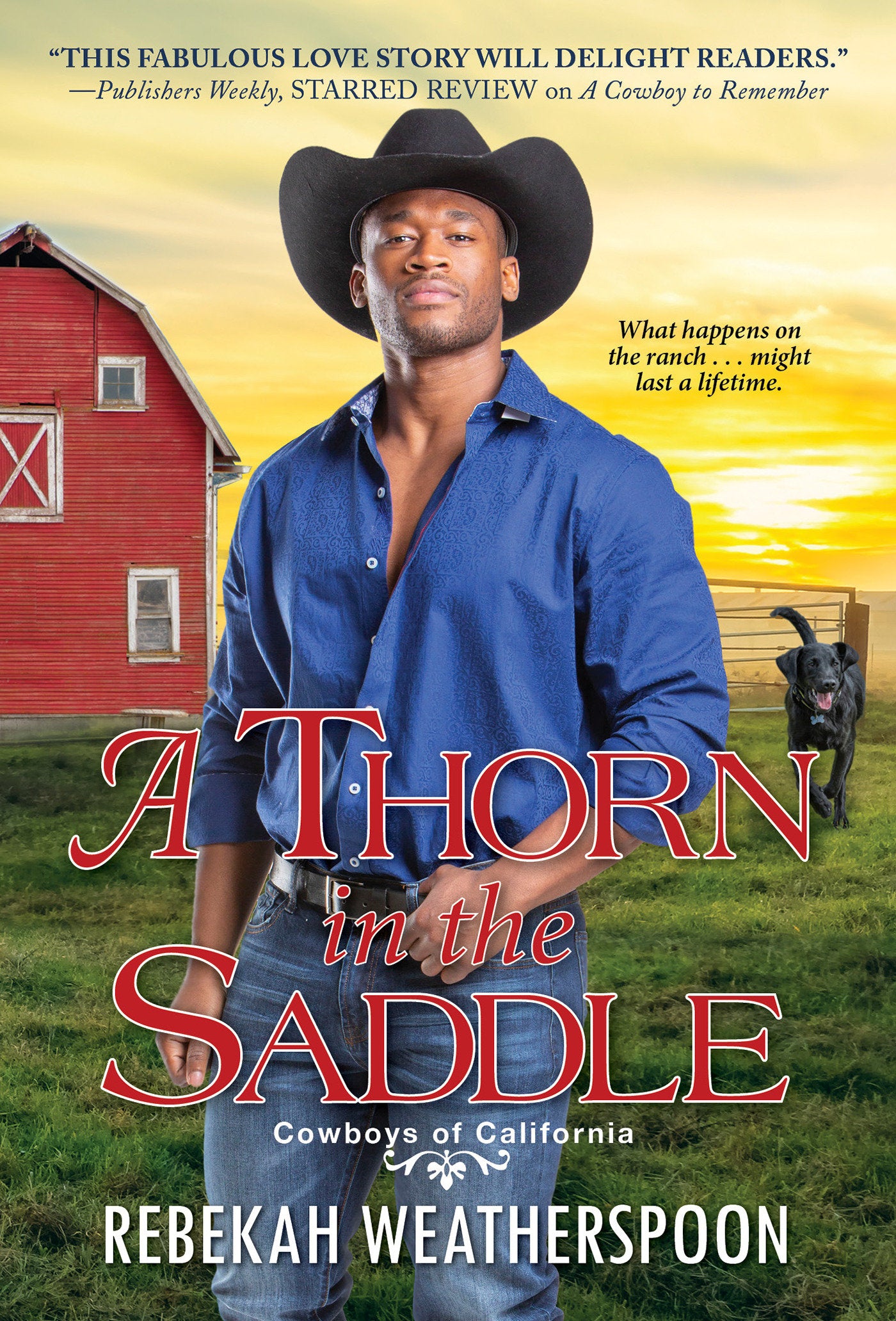 A Thorn in the Saddle (Cowboys of California) (Book:3)