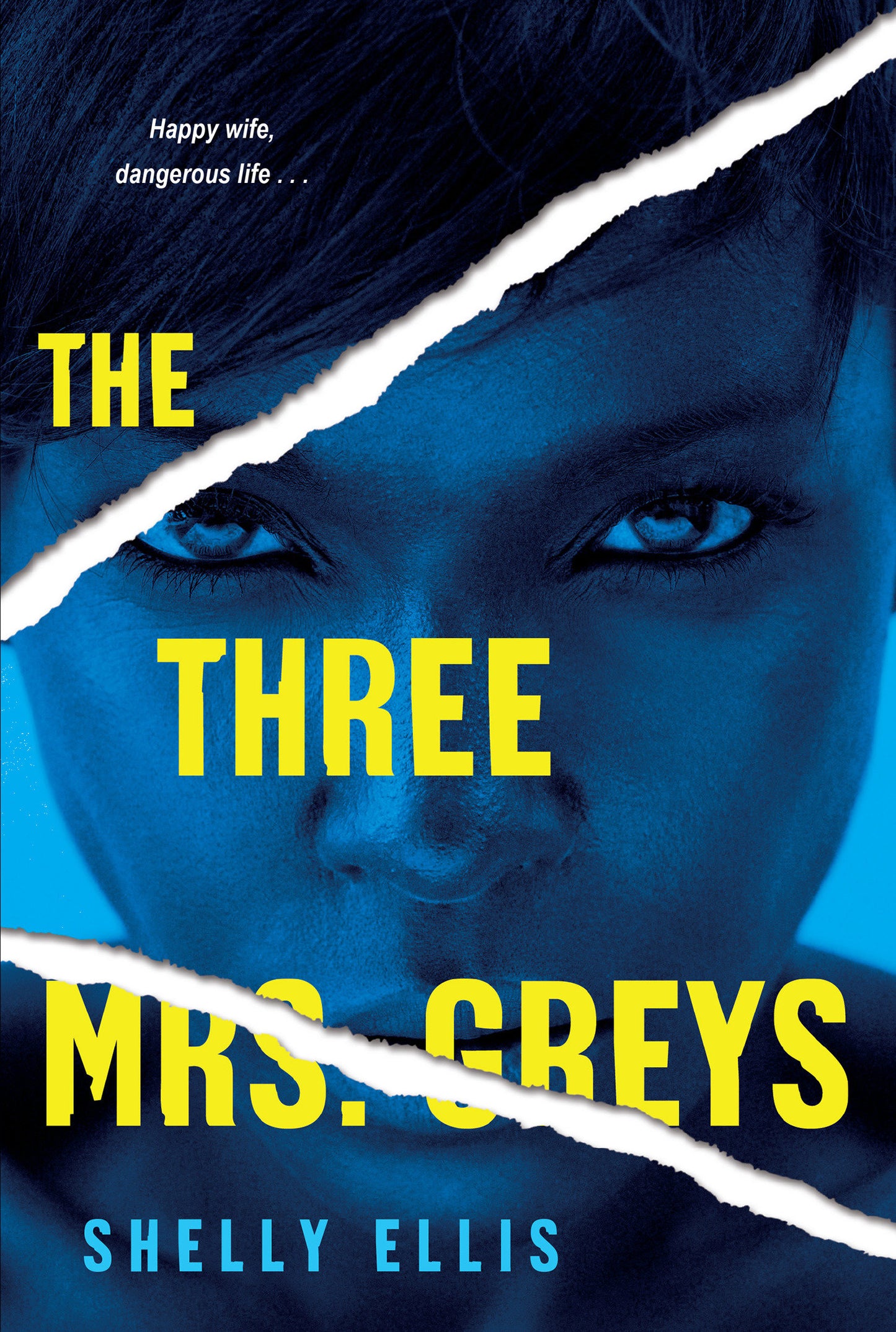 The Three Mrs. Greys (The Three Mrs. Greys) (Book:1)