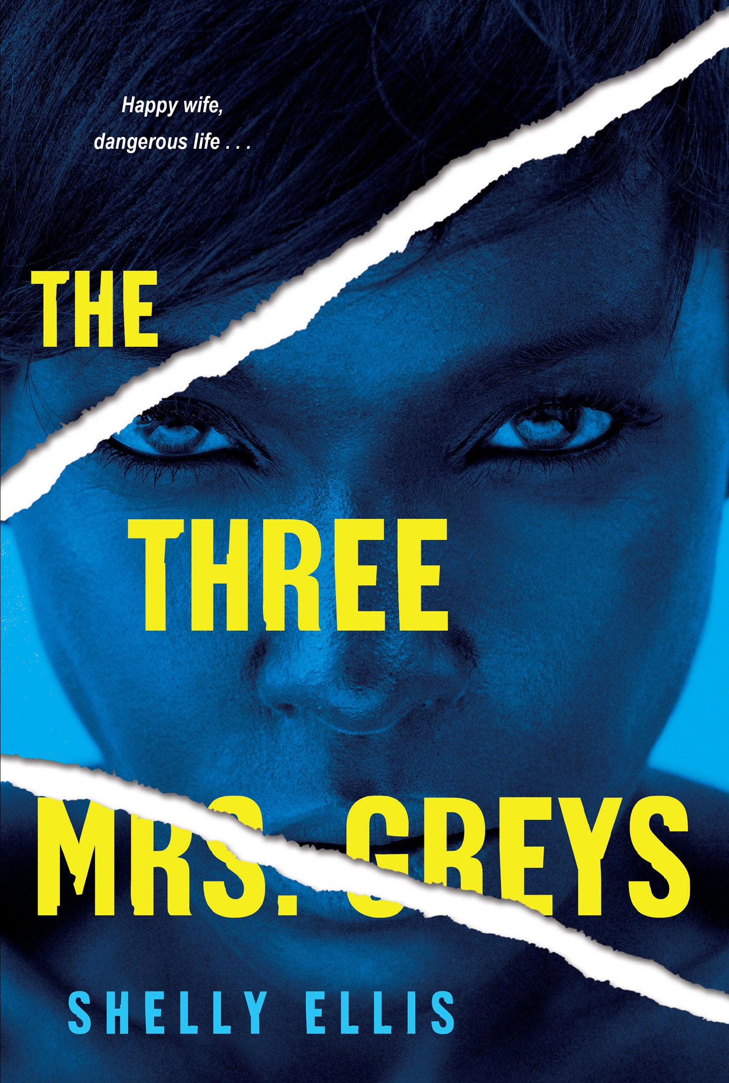 The Three Mrs. Greys (The Three Mrs. Greys) (Book:1)