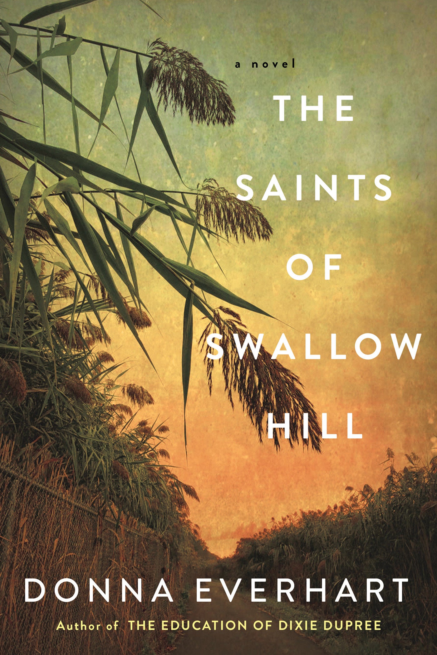 The Saints of Swallow Hill - A Fascinating Depression Era Historical Novel