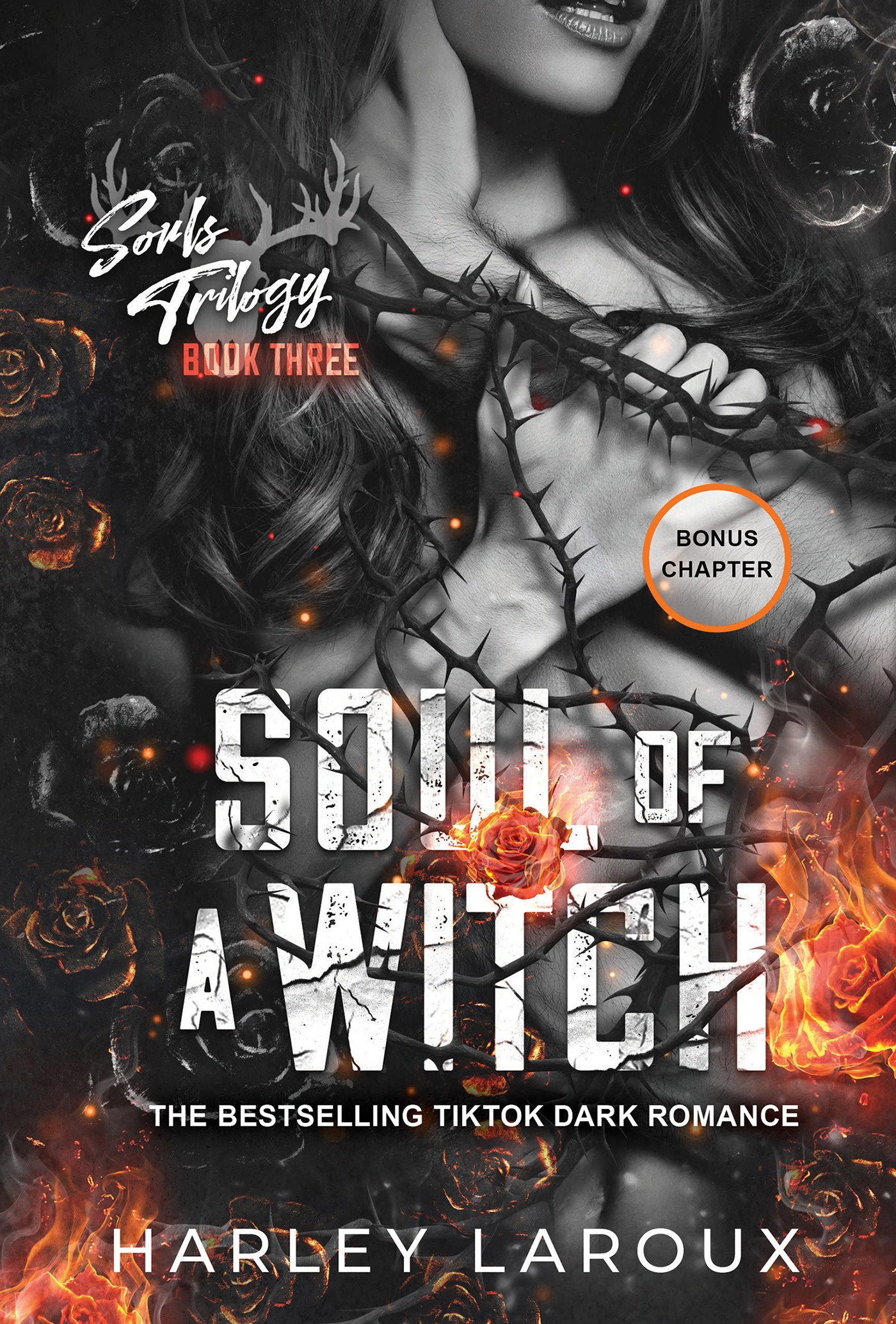 Soul of a Witch - A Spicy Dark Demon Romance (Souls Trilogy) (Book:3)