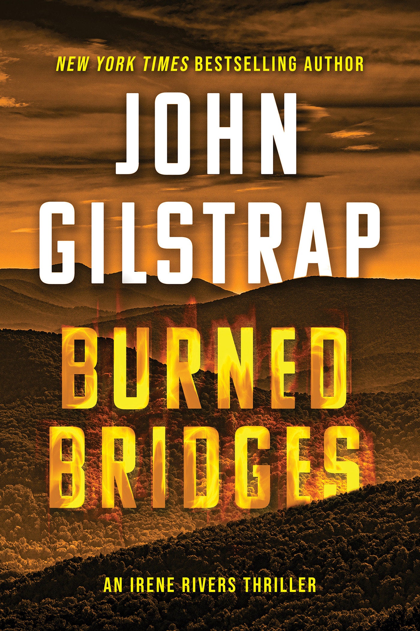 Burned Bridges (An Irene Rivers Thriller) (Book:1)
