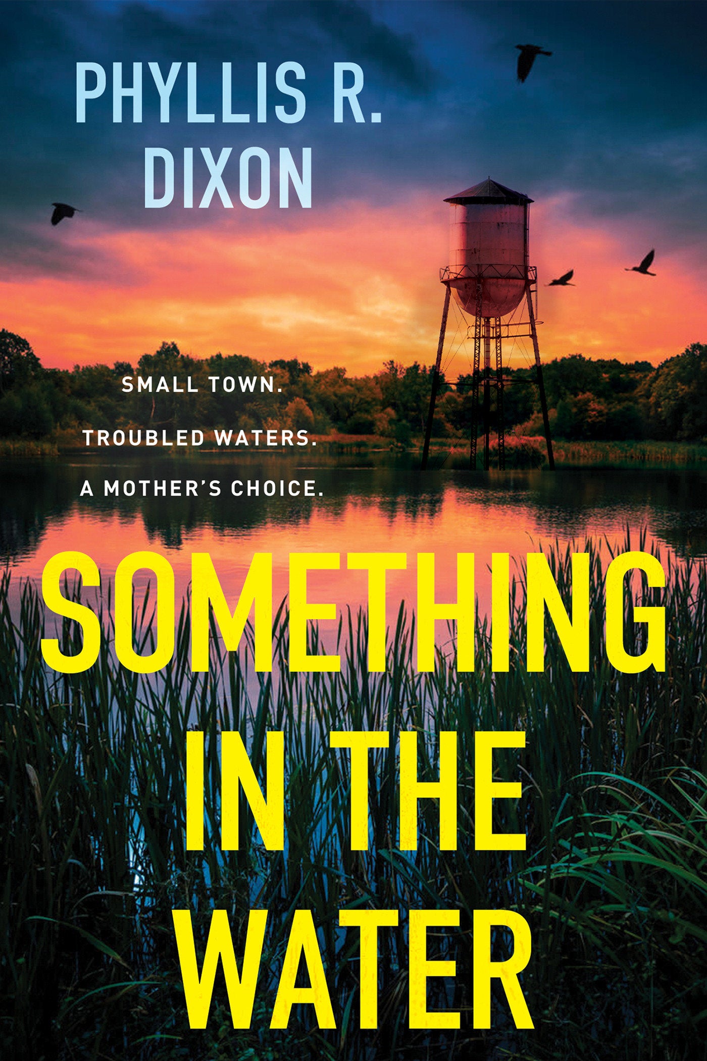Something in the Water