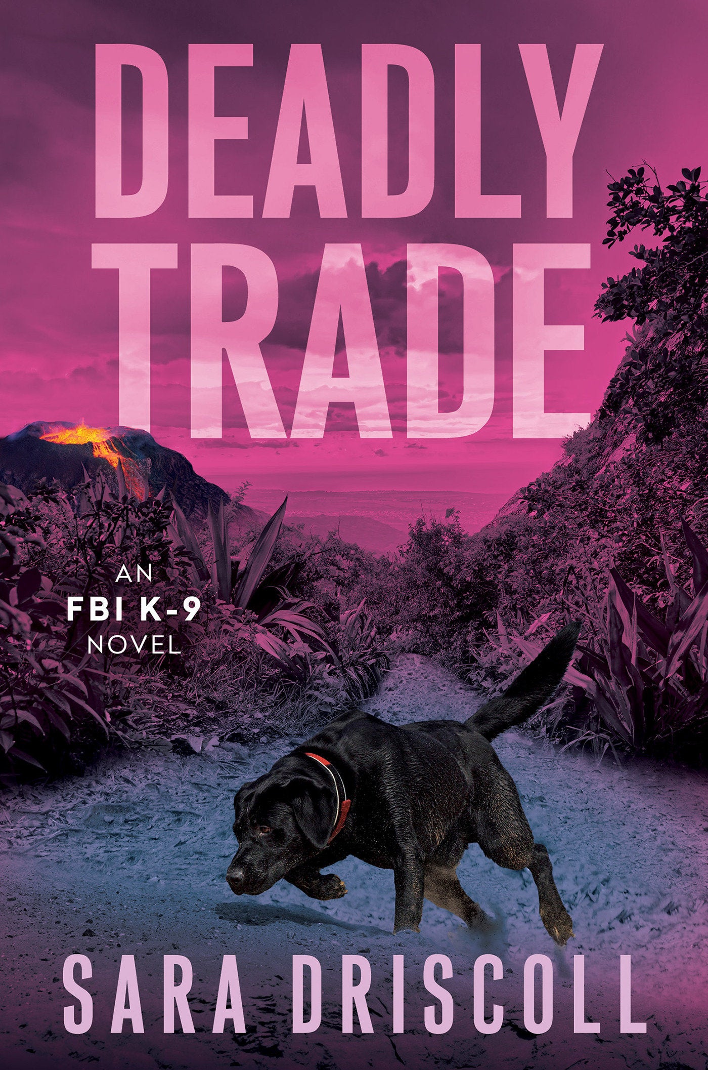 Deadly Trade (An FBI K-9 Novel) (Book:10)