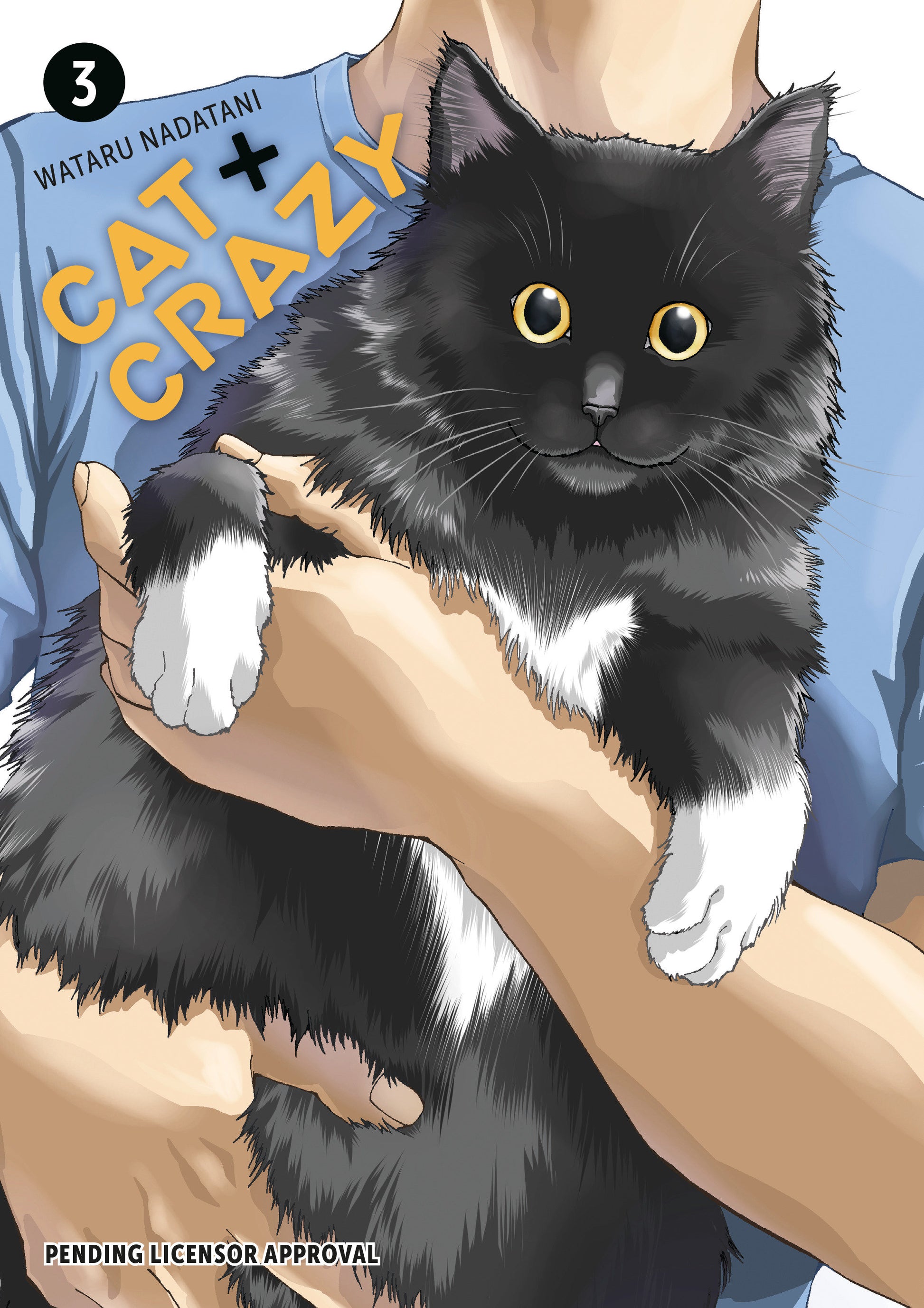Cat + Crazy Volume 3 (Cat + Crazy)